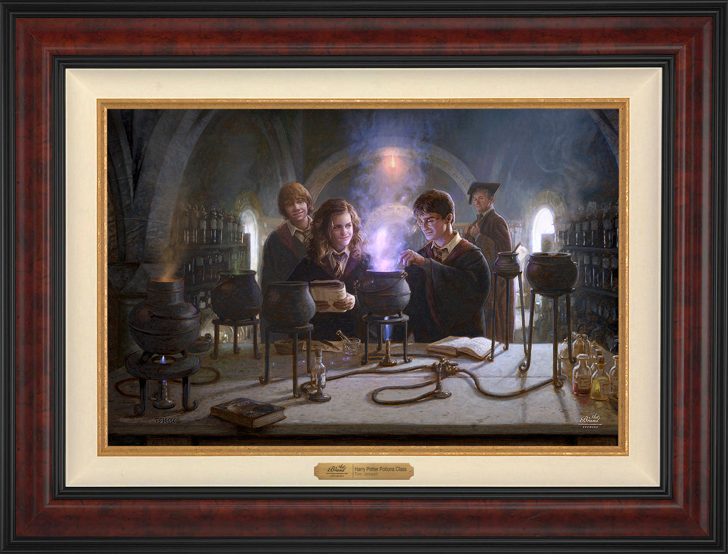 Harry Potter™ Potions Class - Limited Edition Canvas