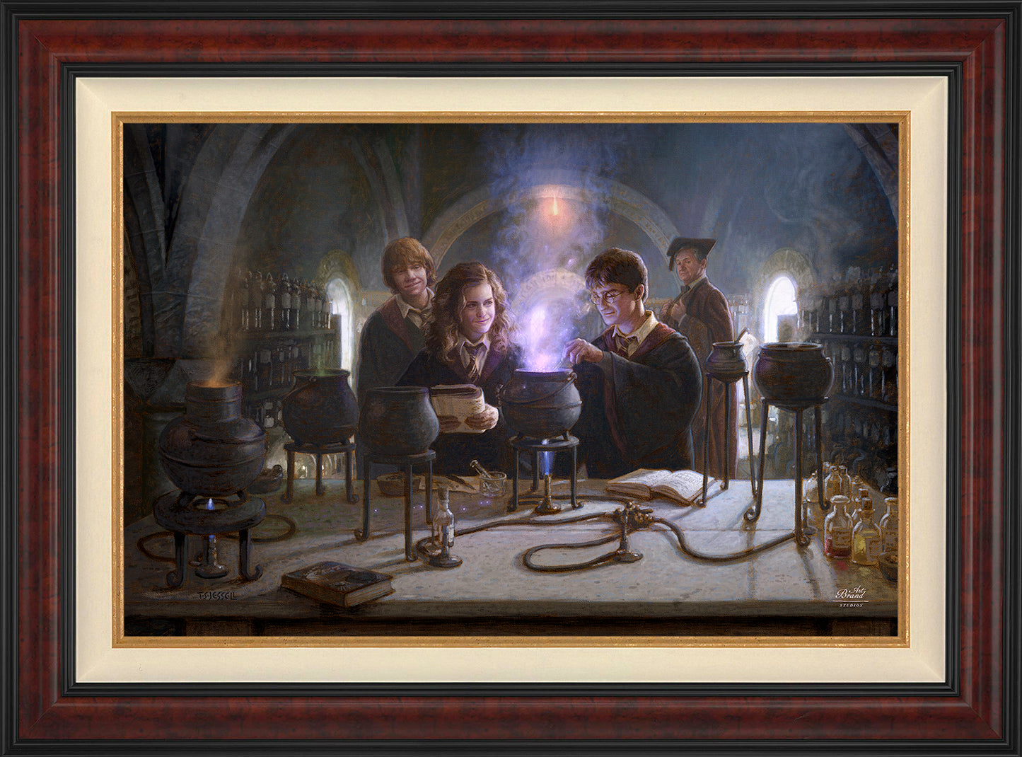 Harry Potter™ Potions Class - Limited Edition Canvas