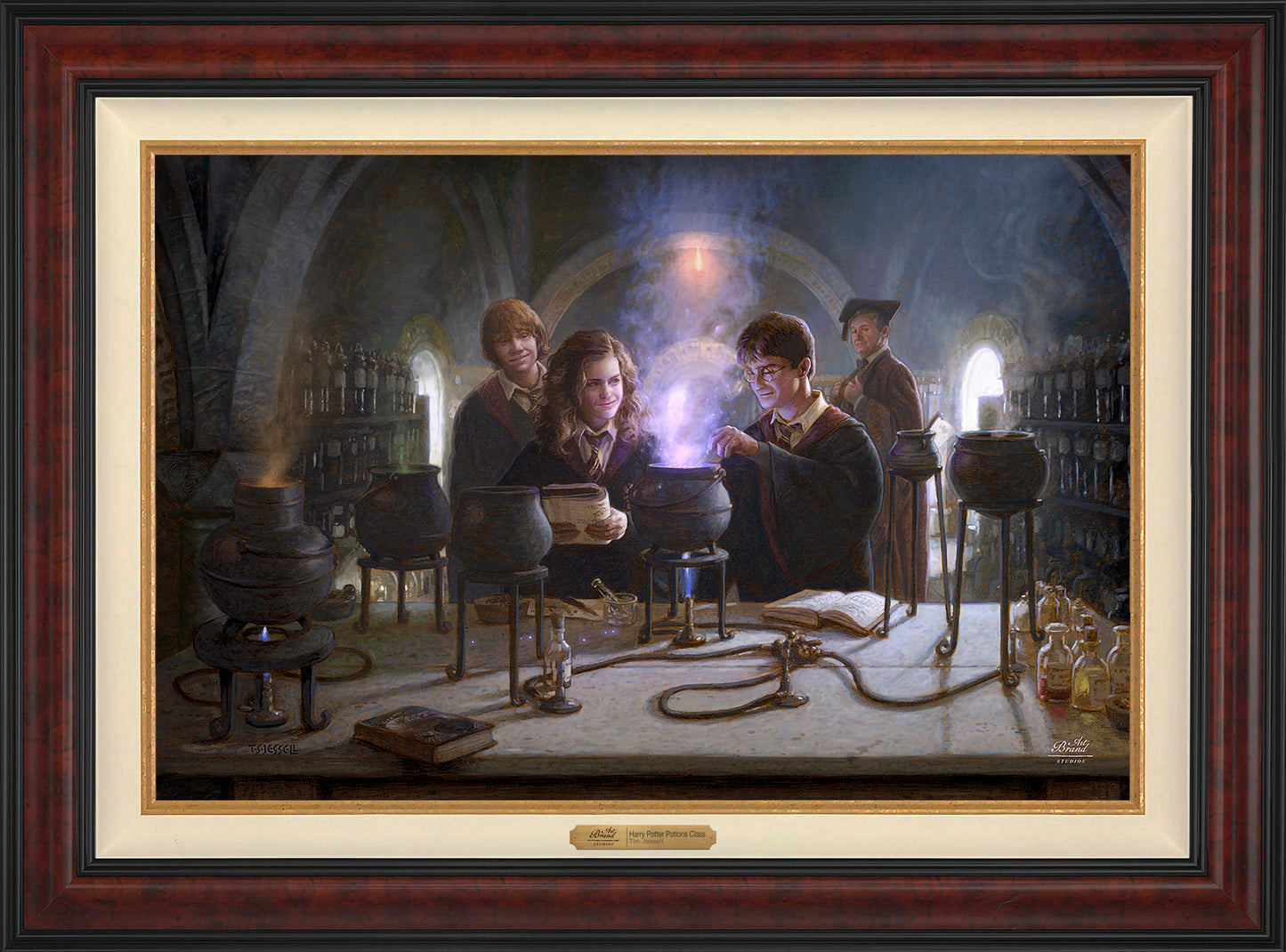Harry Potter™ Potions Class - Limited Edition Canvas