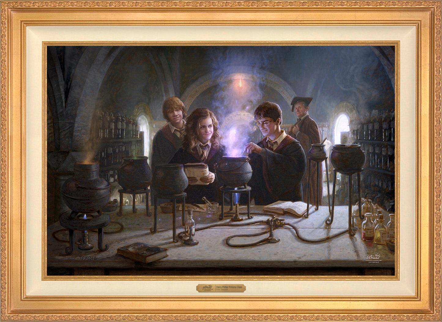 Harry Potter™ Potions Class - Limited Edition Canvas