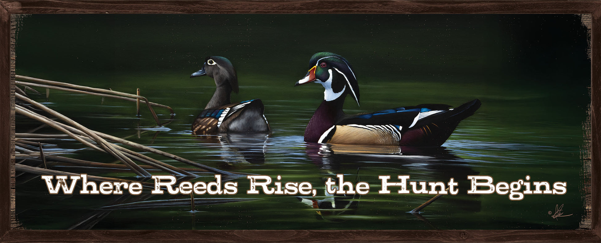 Wood sign with two swimming ducks saying "where reeds rise, the hunt begin"