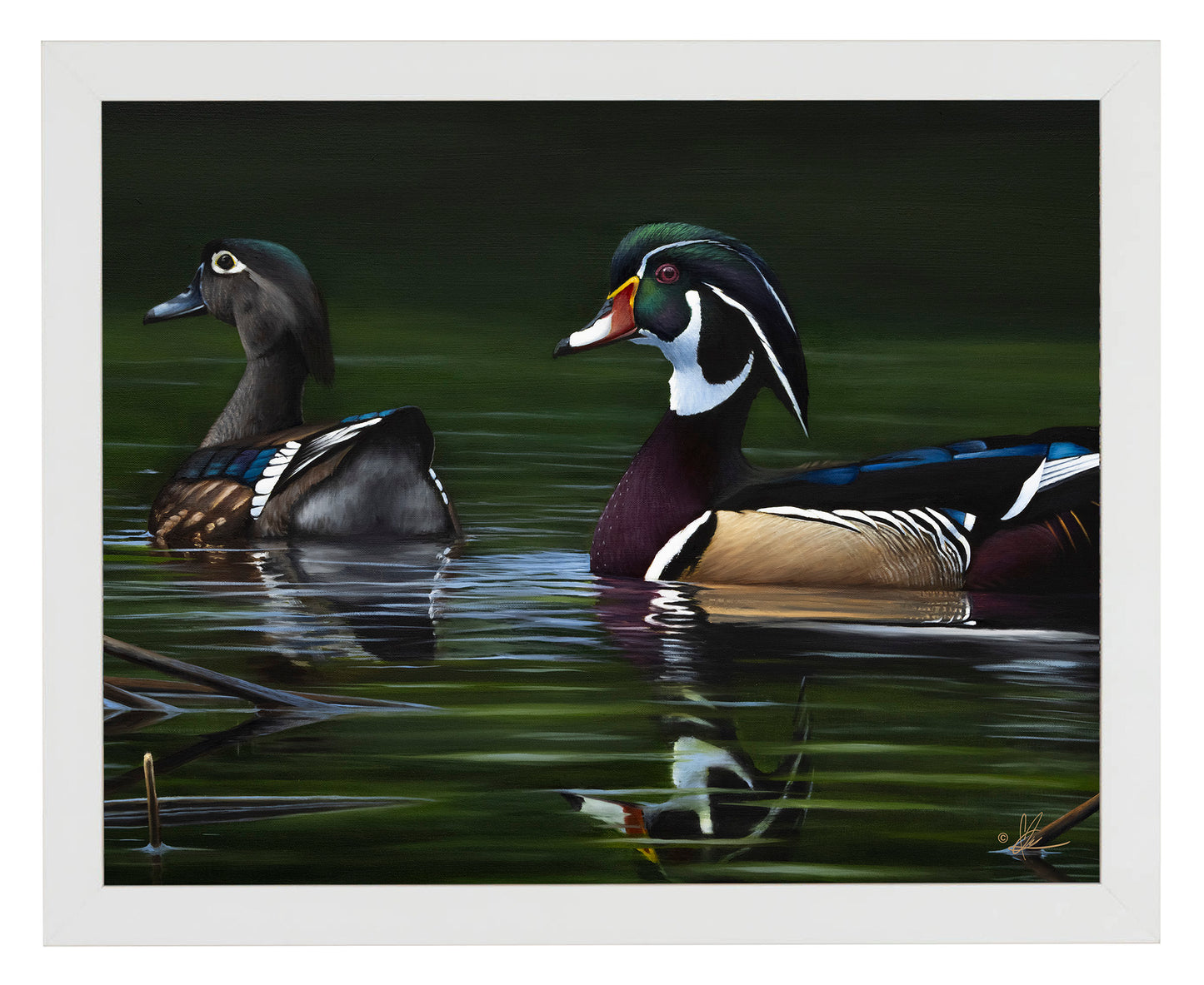 Framed image of swimming ducks in the river