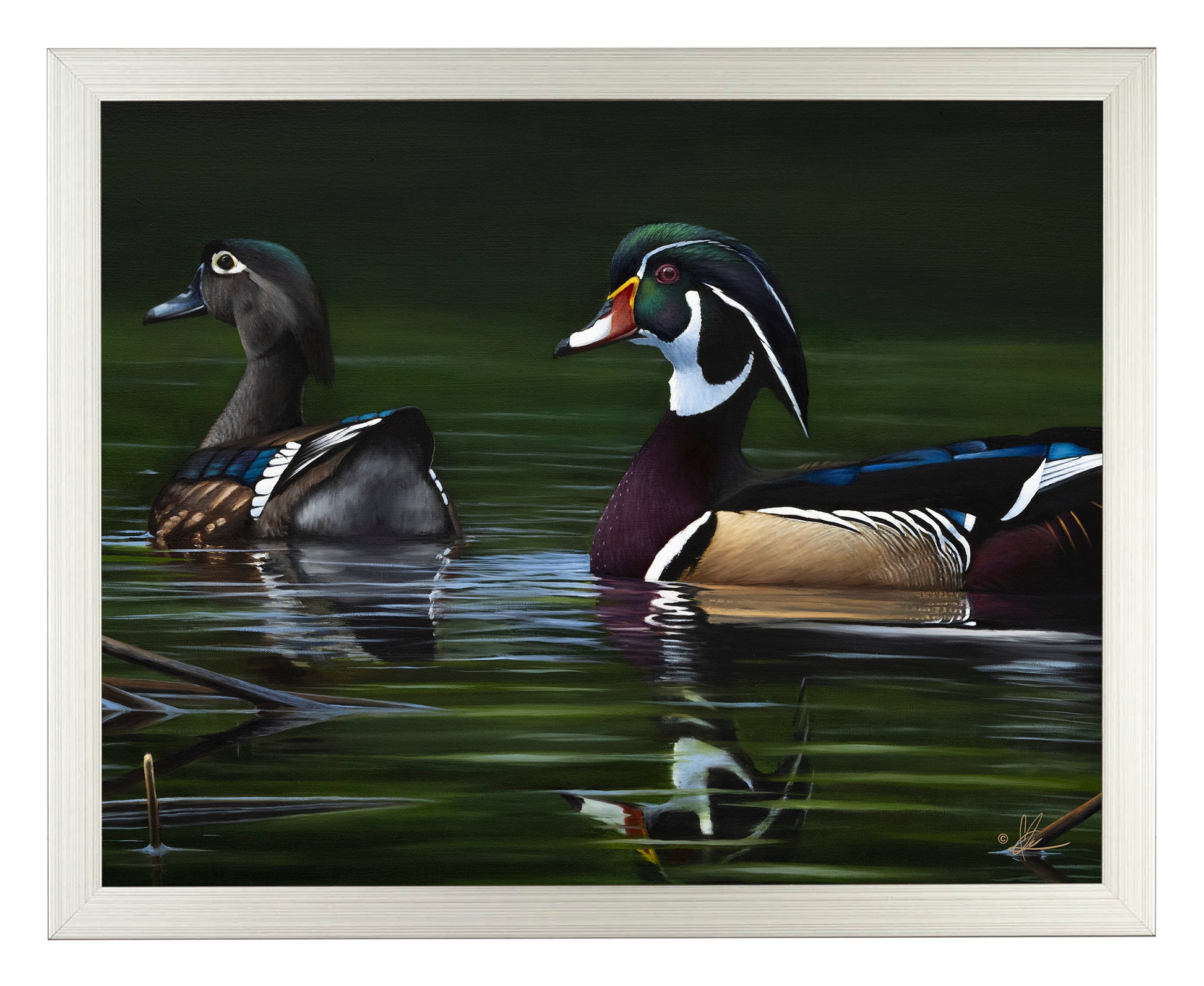 Framed image of swimming ducks in the river