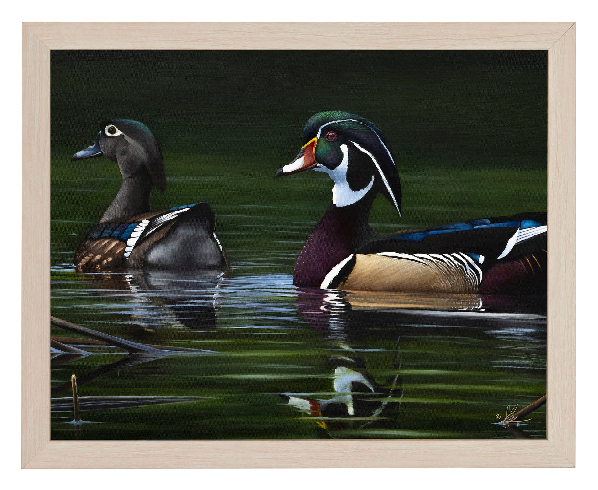 Framed image of swimming ducks in the river