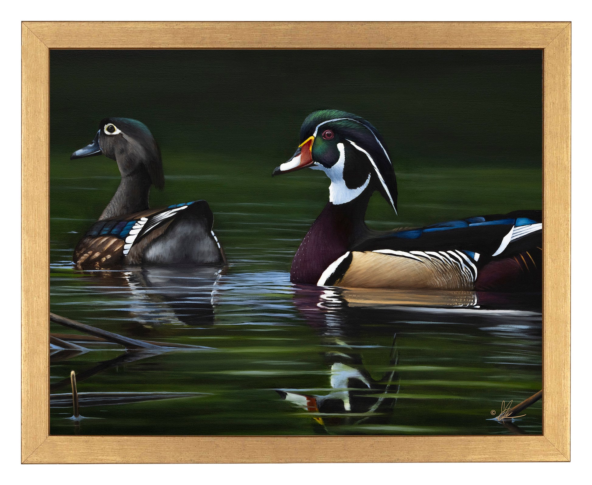 Framed image of swimming ducks in the river