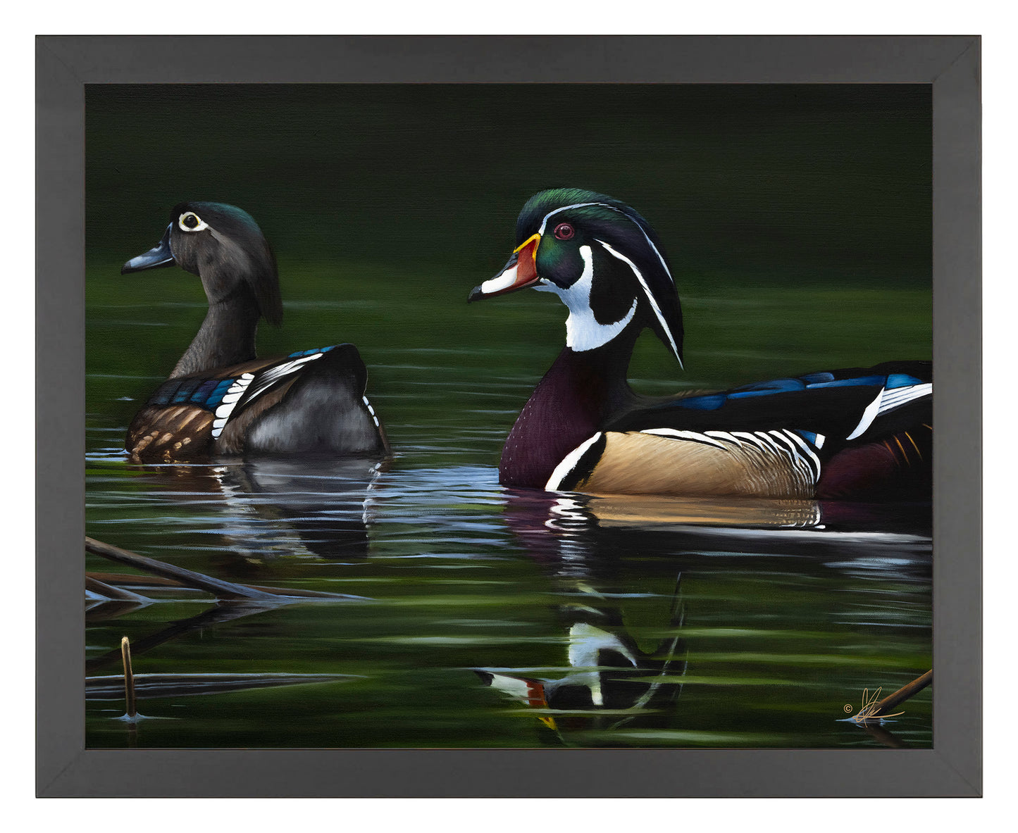 Framed image of swimming ducks in the river