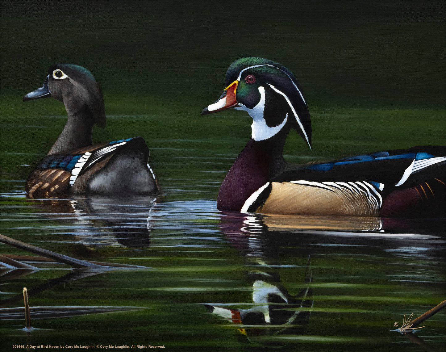Painting of swimming birds in the river