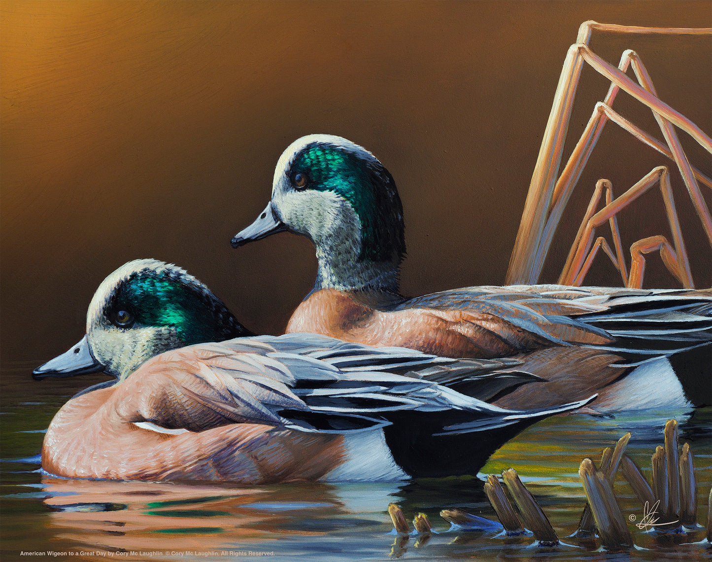 Two ducks in the river