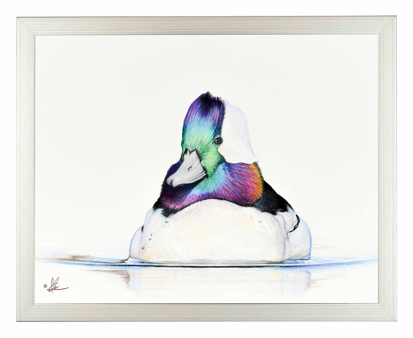 Framed image of a Bufflehead