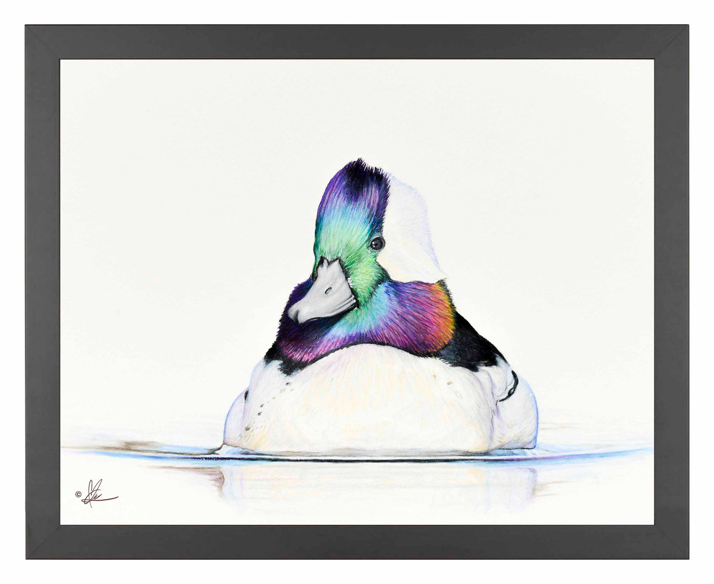 Framed image of a Bufflehead