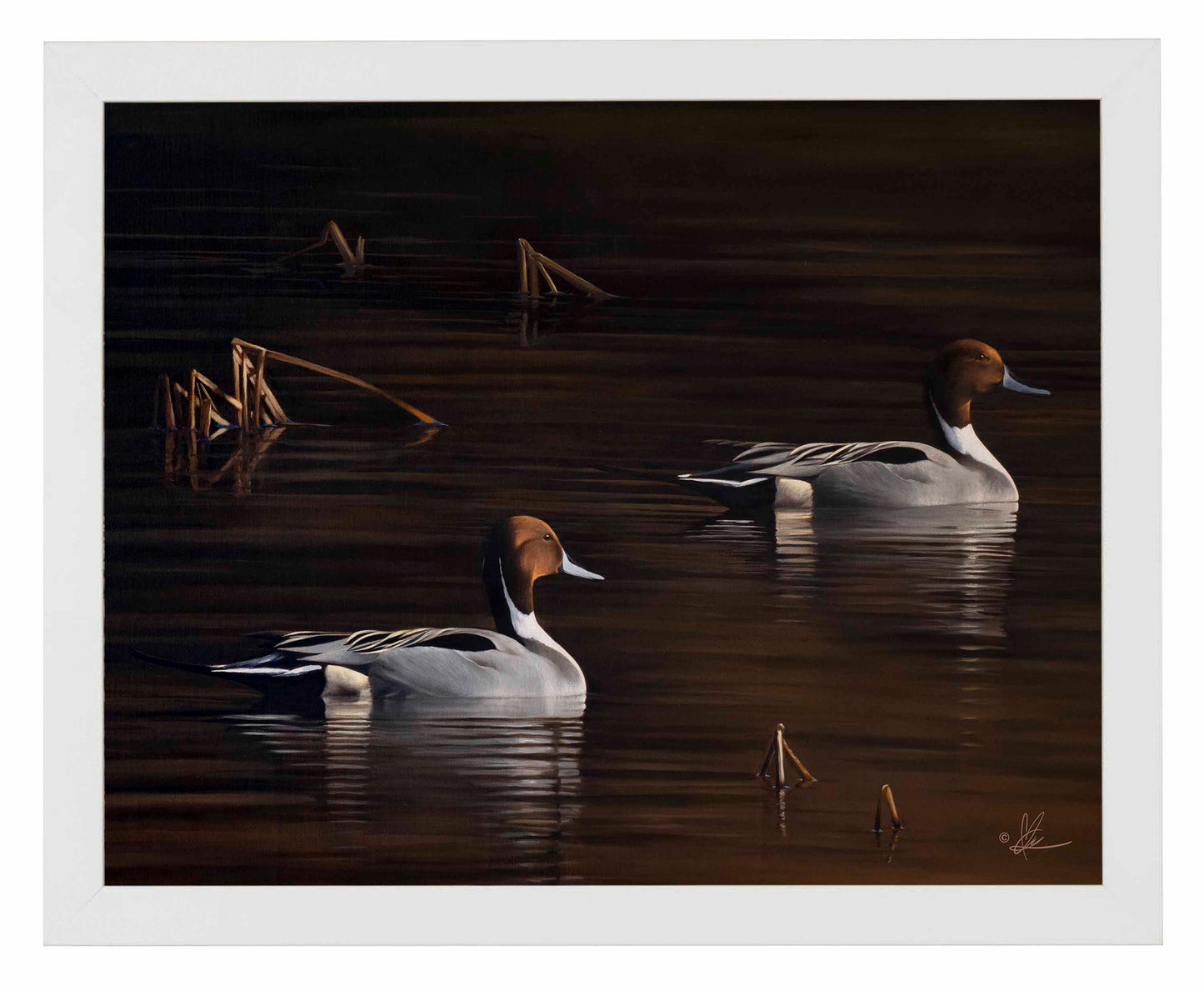 Framed painting of ducks swimming in the river