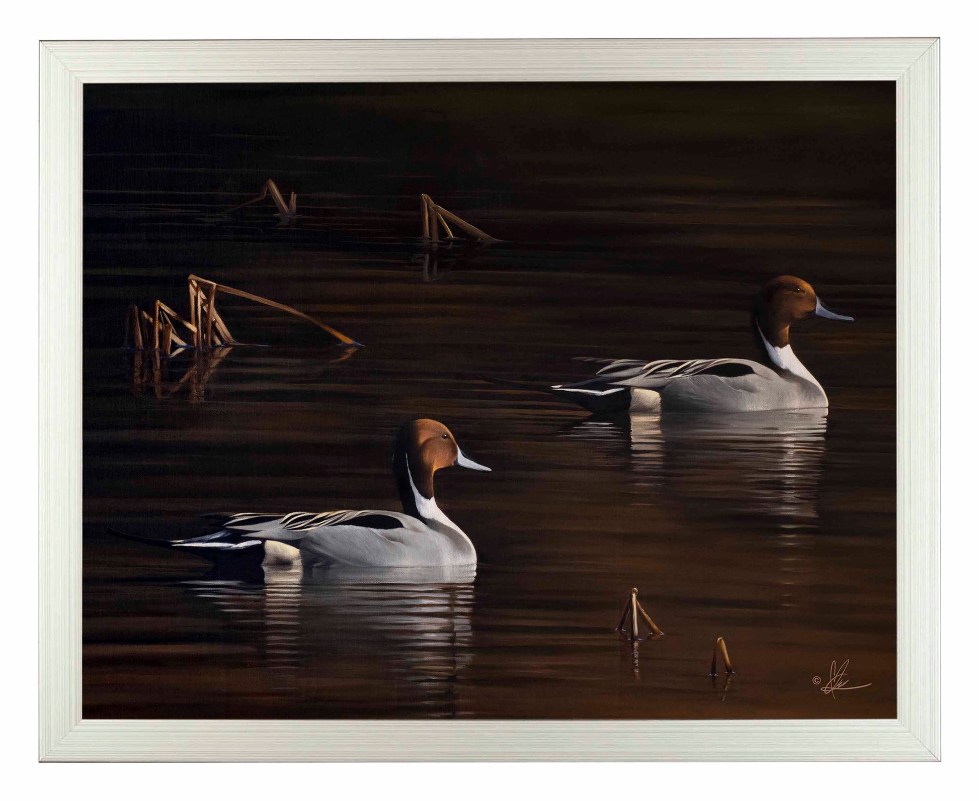 Framed painting of ducks swimming in the river