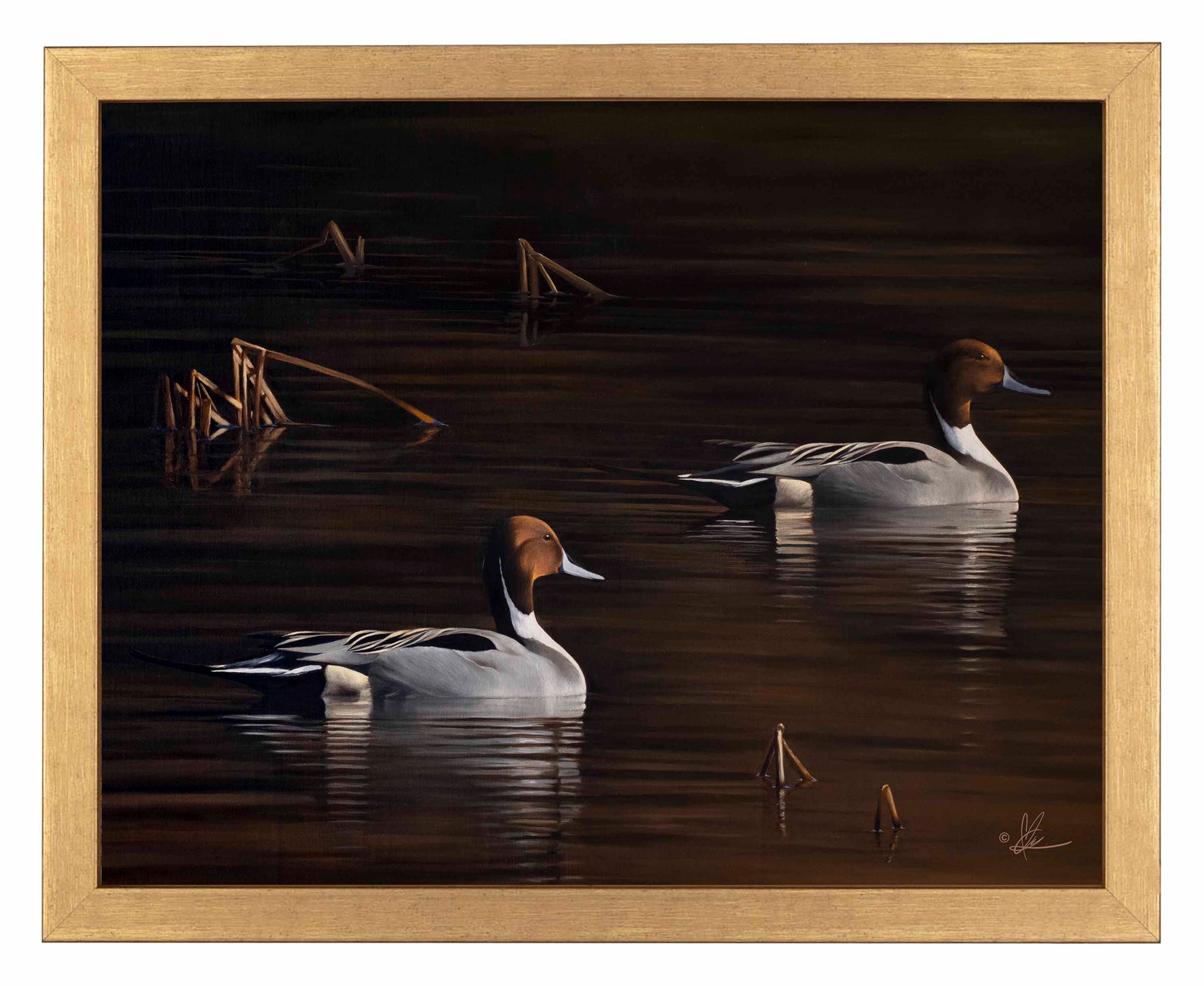 Framed painting of ducks swimming in the river