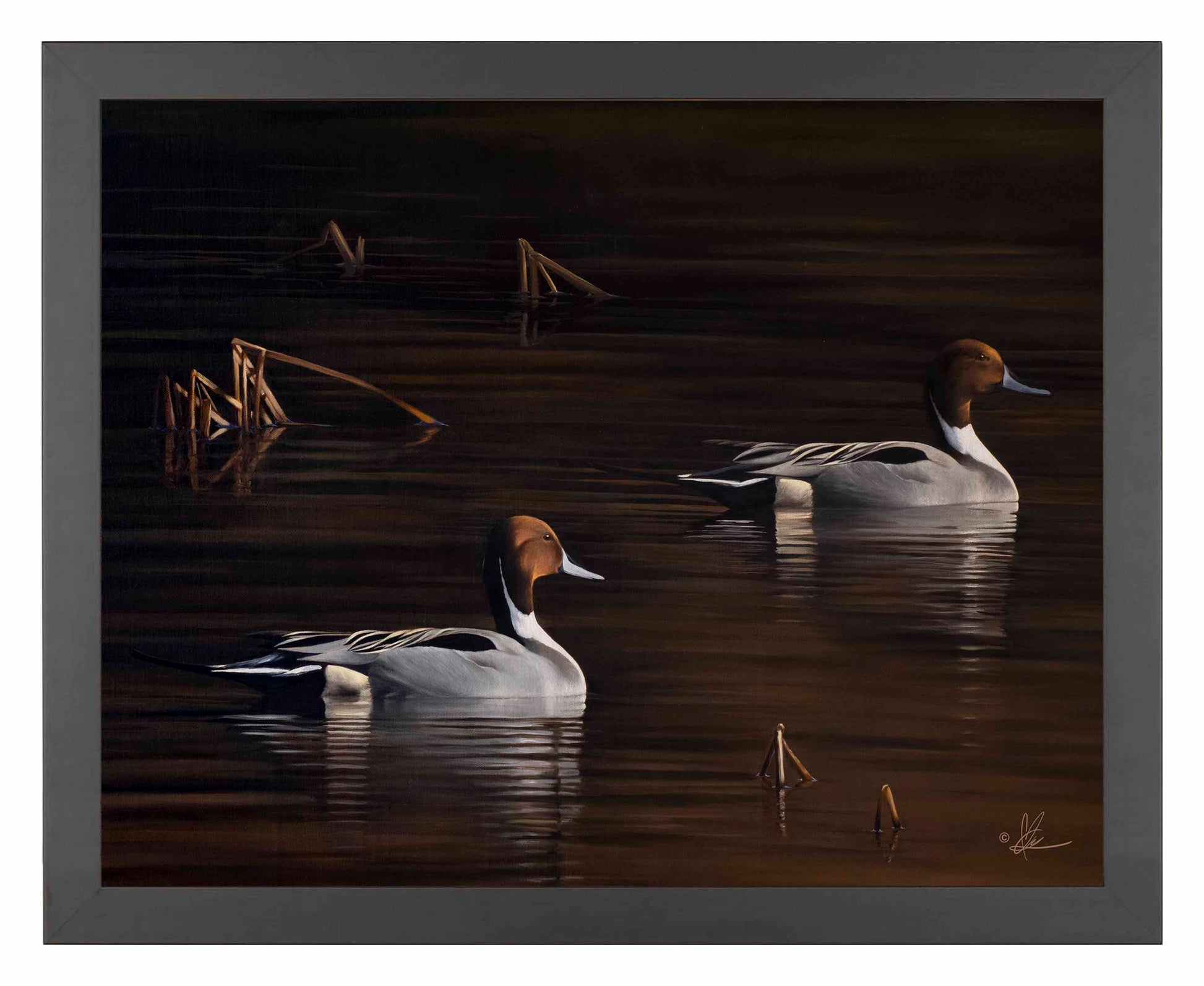 Framed painting of ducks swimming in the river