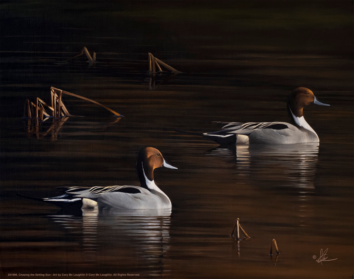 Painting of ducks swimming in the river