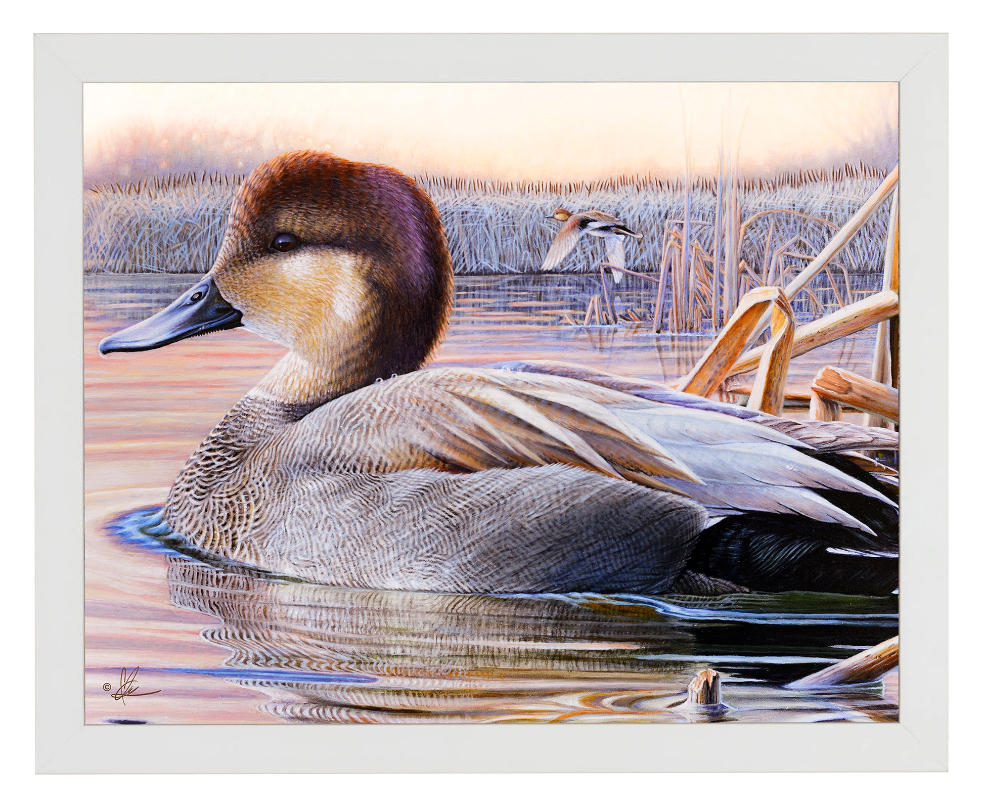 Framed painting of a duck in the river