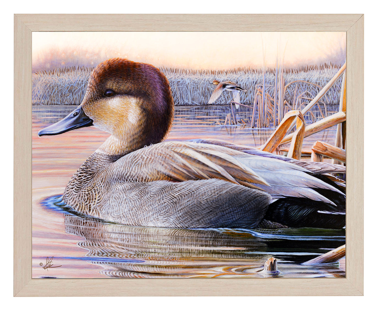 Framed painting of a duck in the river