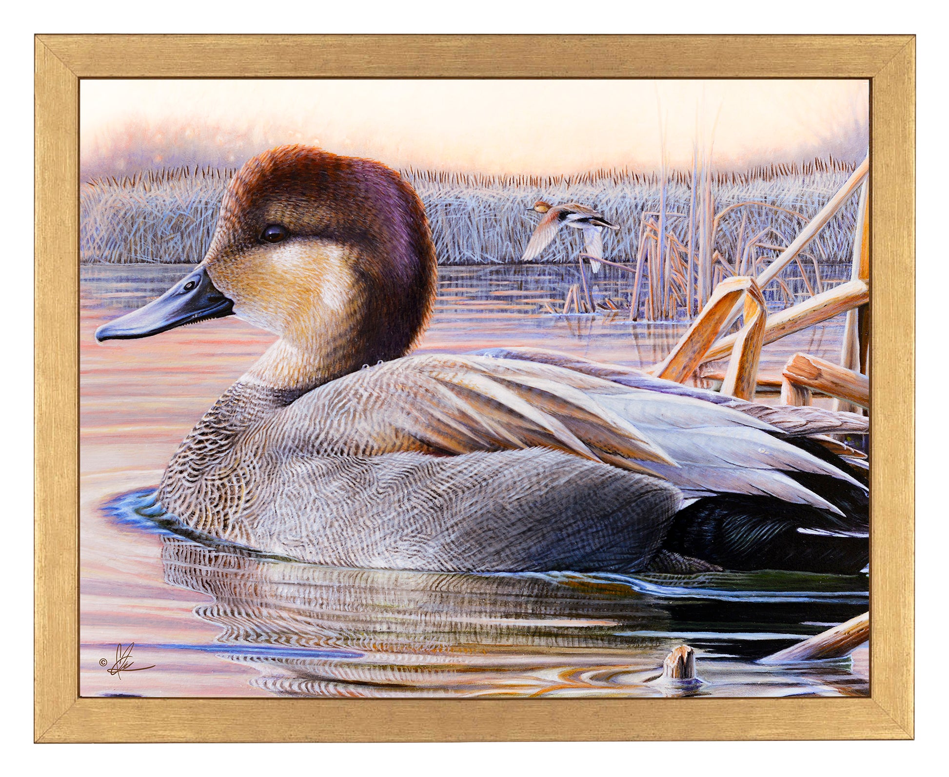 Framed painting of a duck in the river