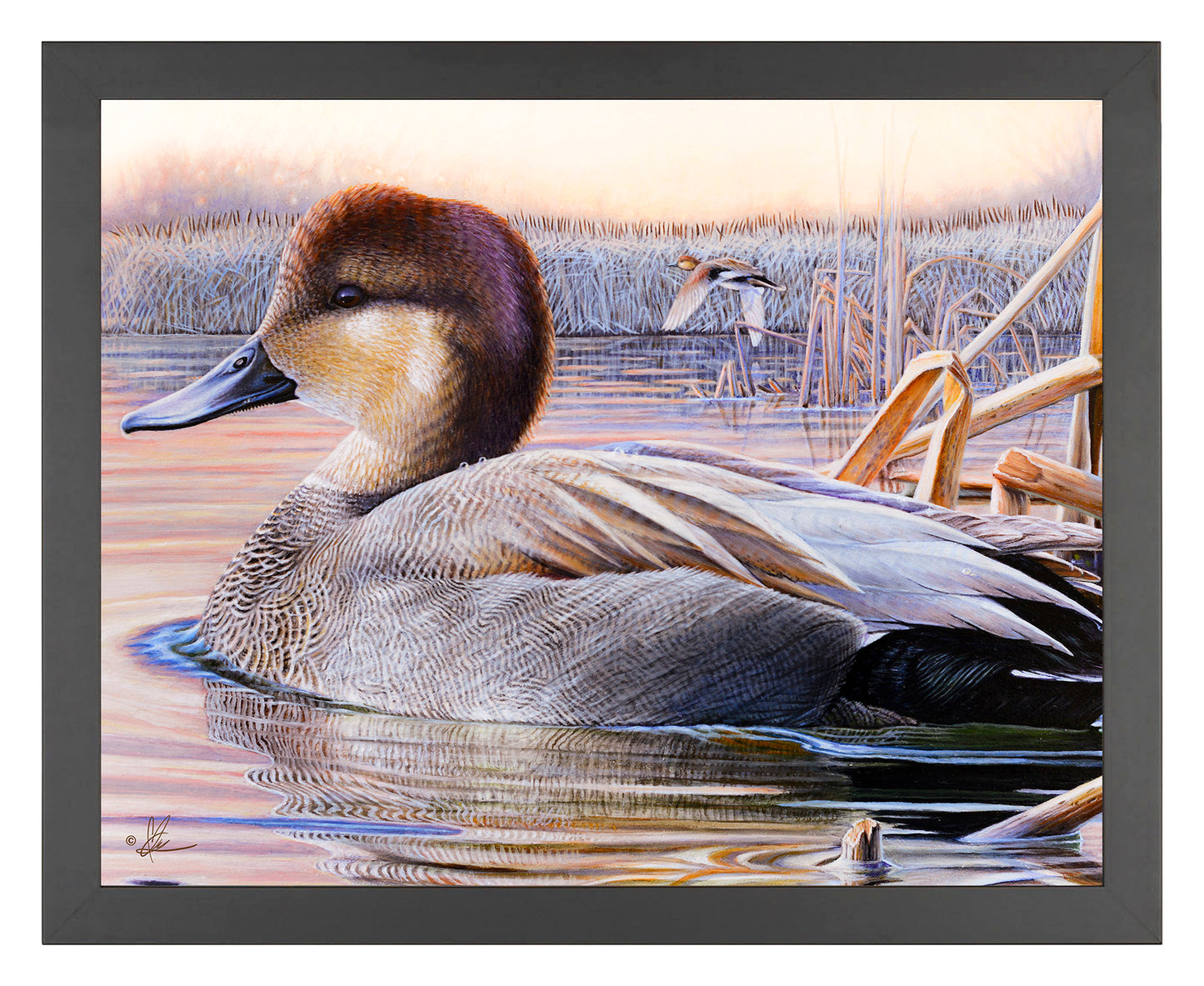 Framed painting of a duck in the river