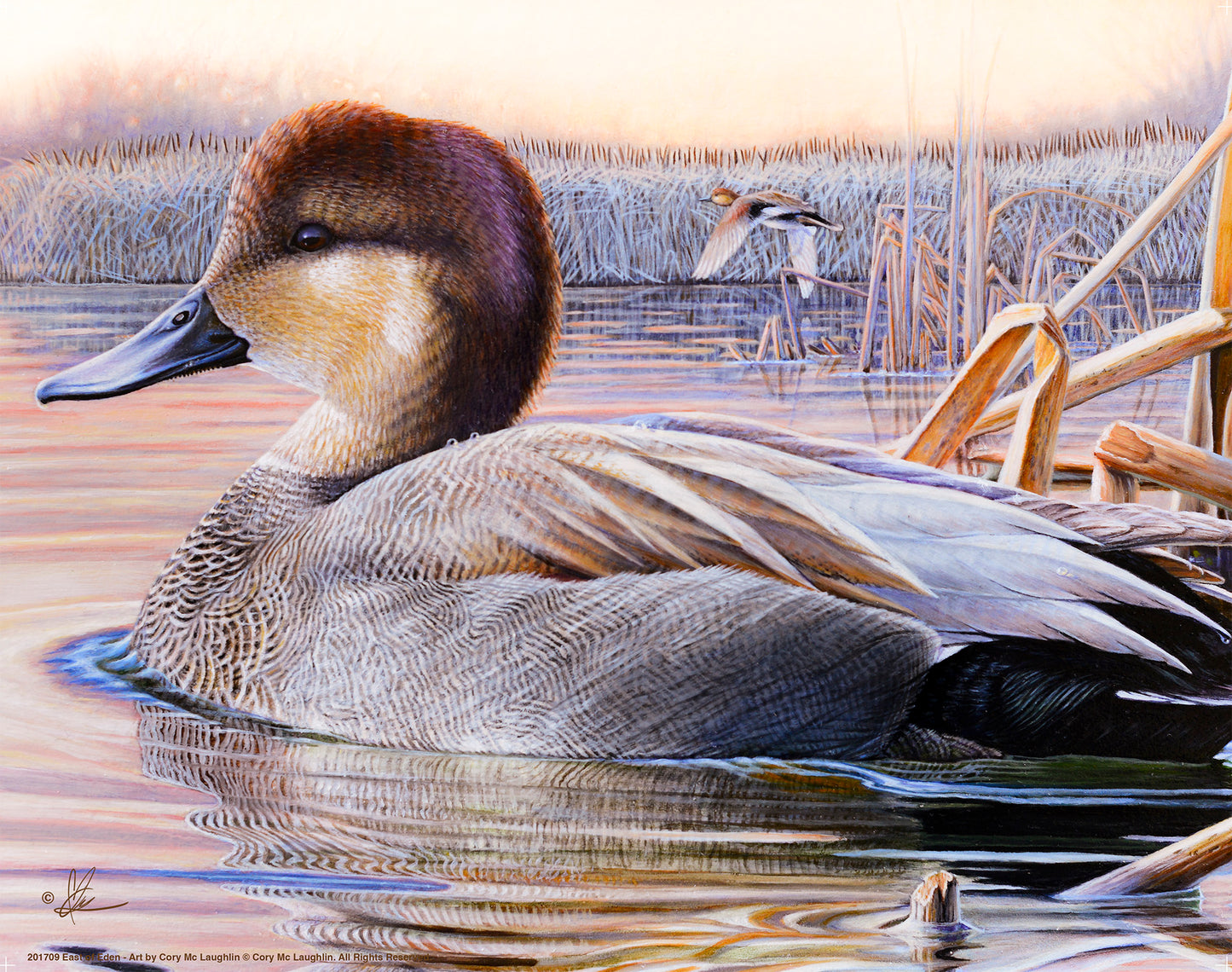 Painting of a duck in the river