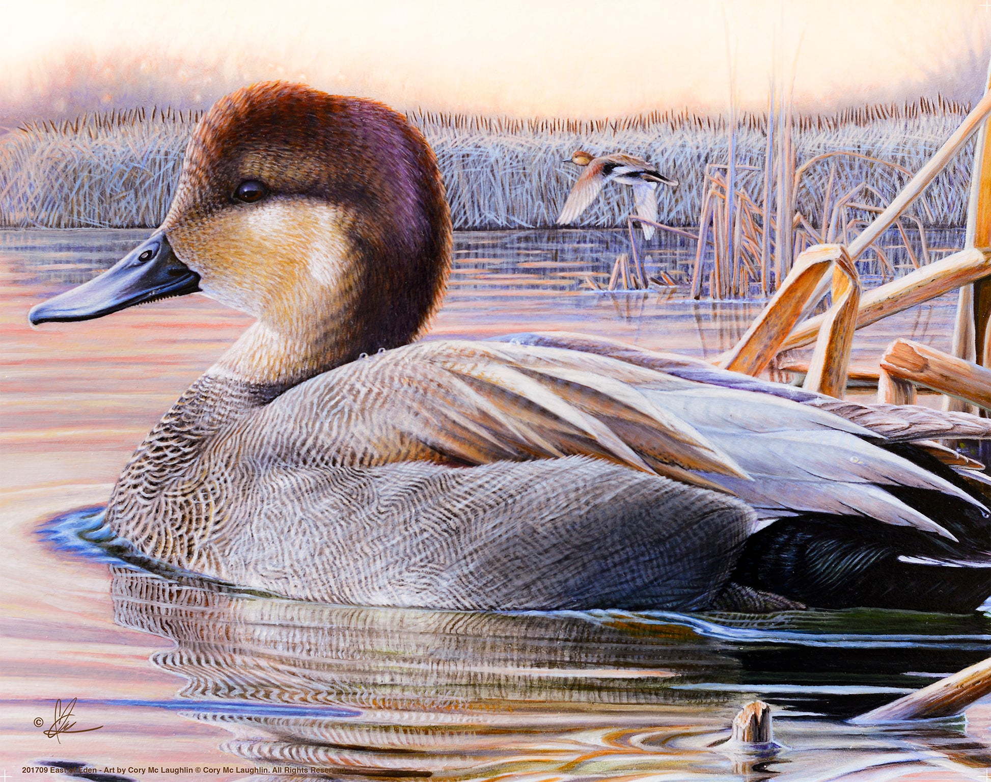 Painting of a duck in the river