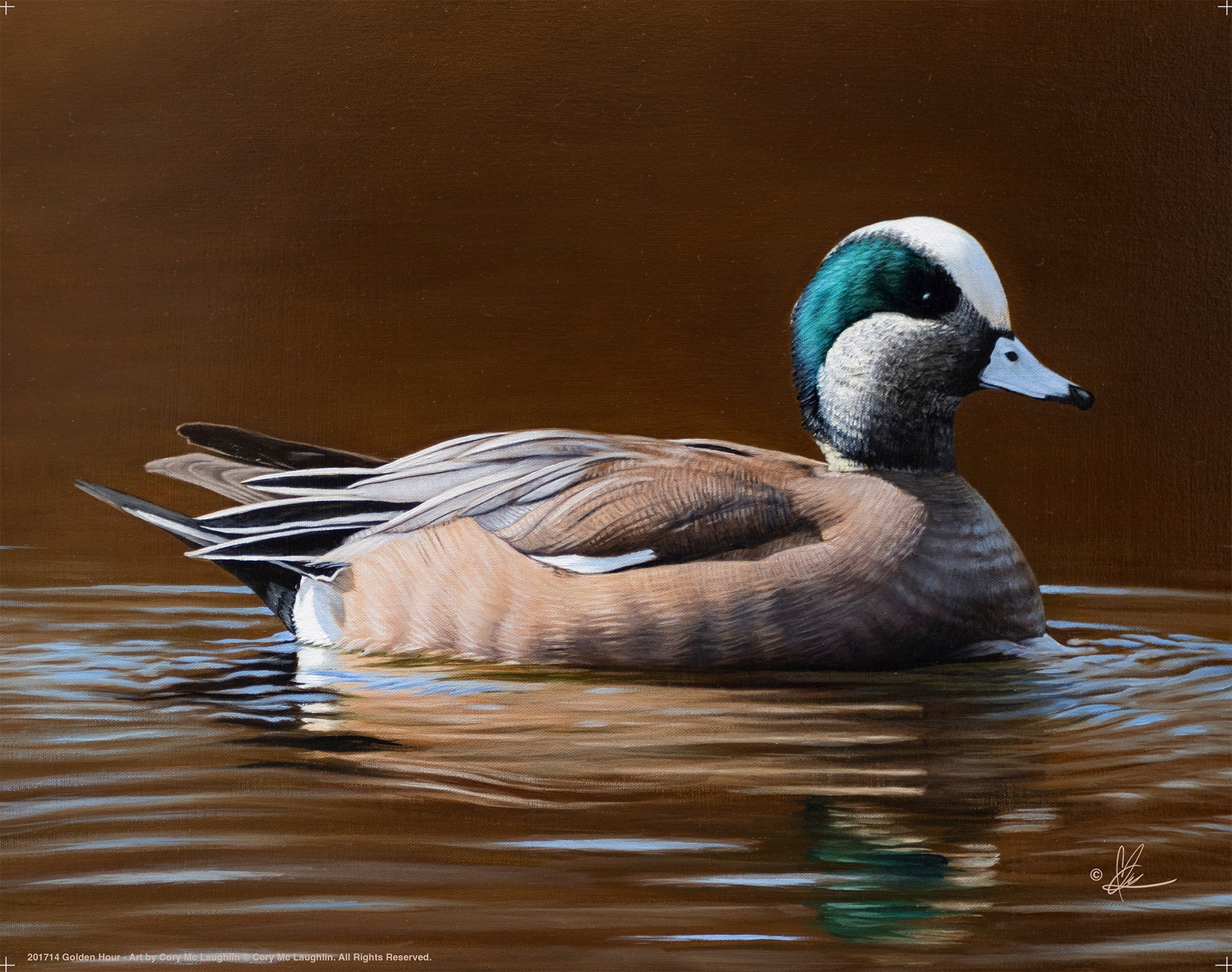 Painting of a swimming duck in the river