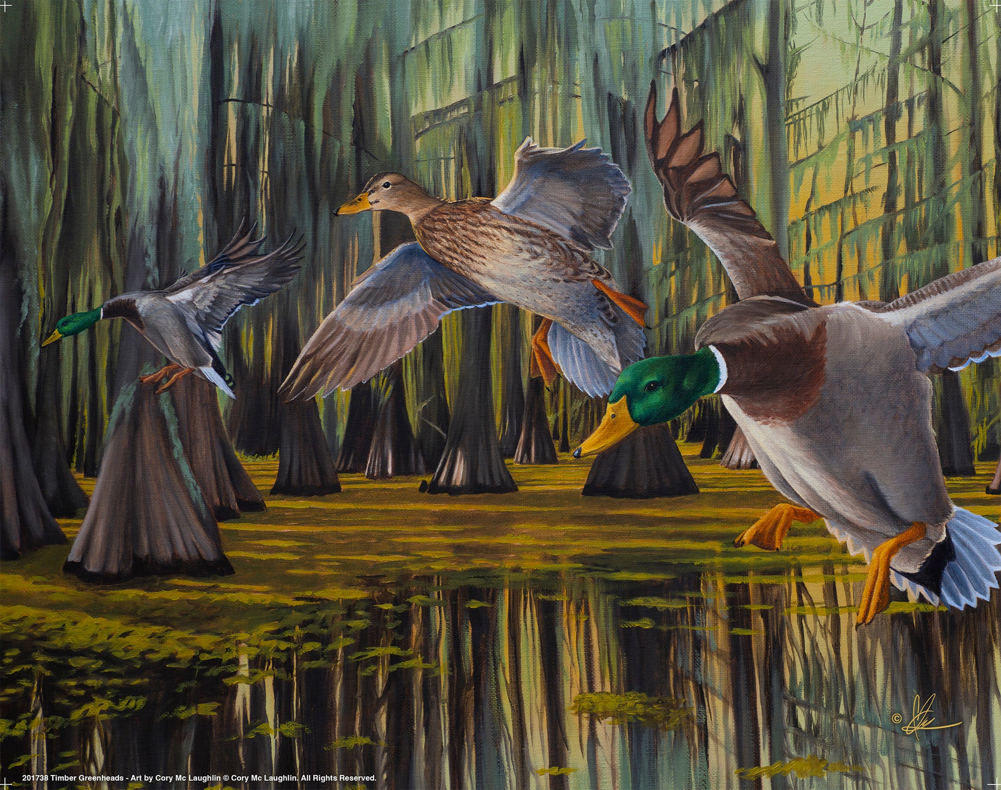 Painting flying birds over the water