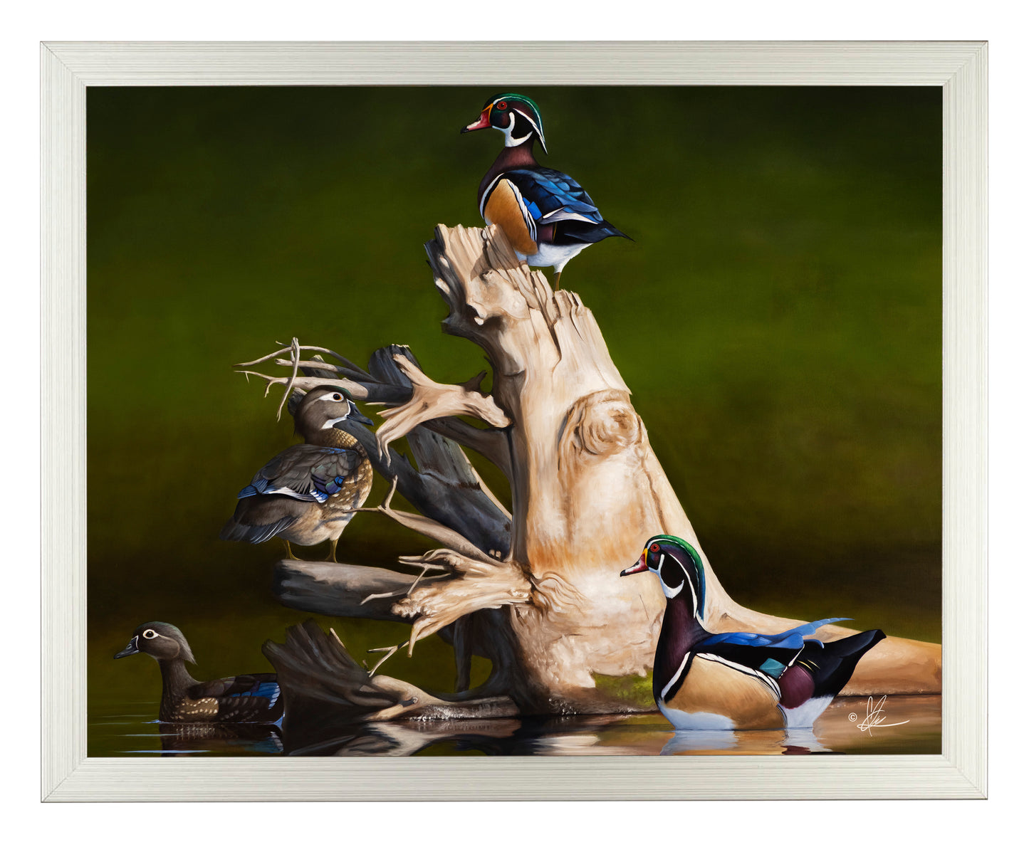 Framed Little birds