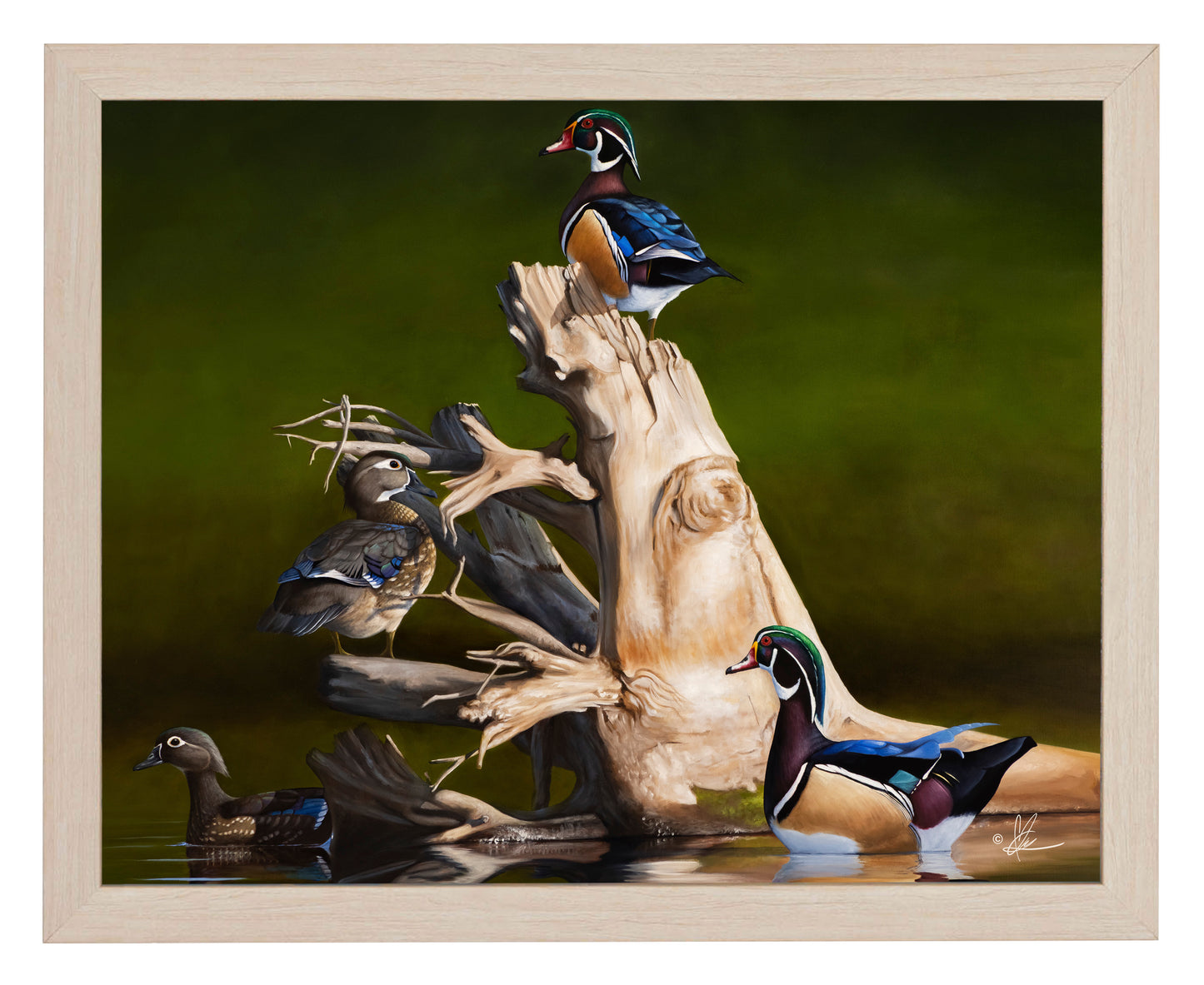 Framed Little birds