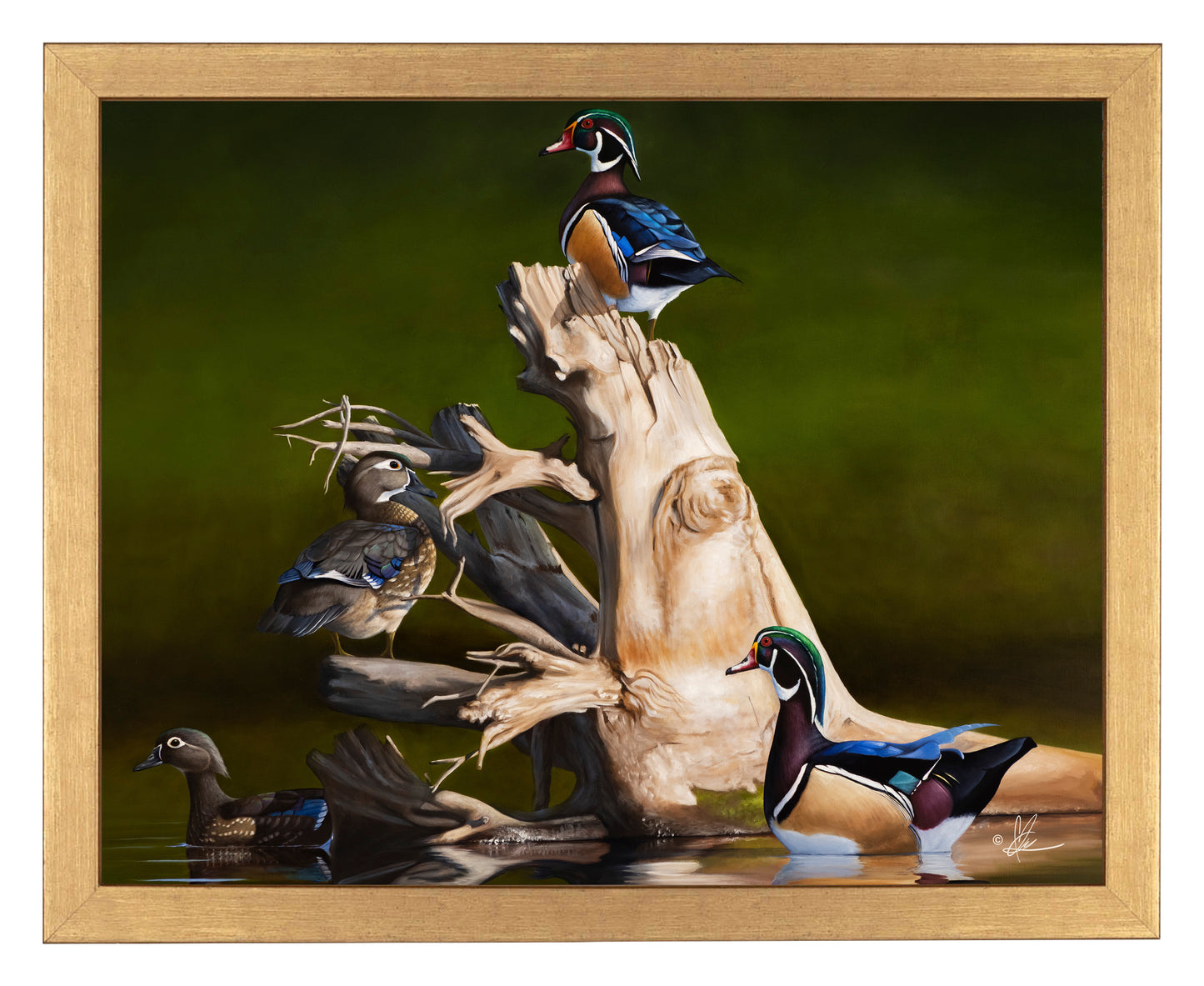 Framed Little birds