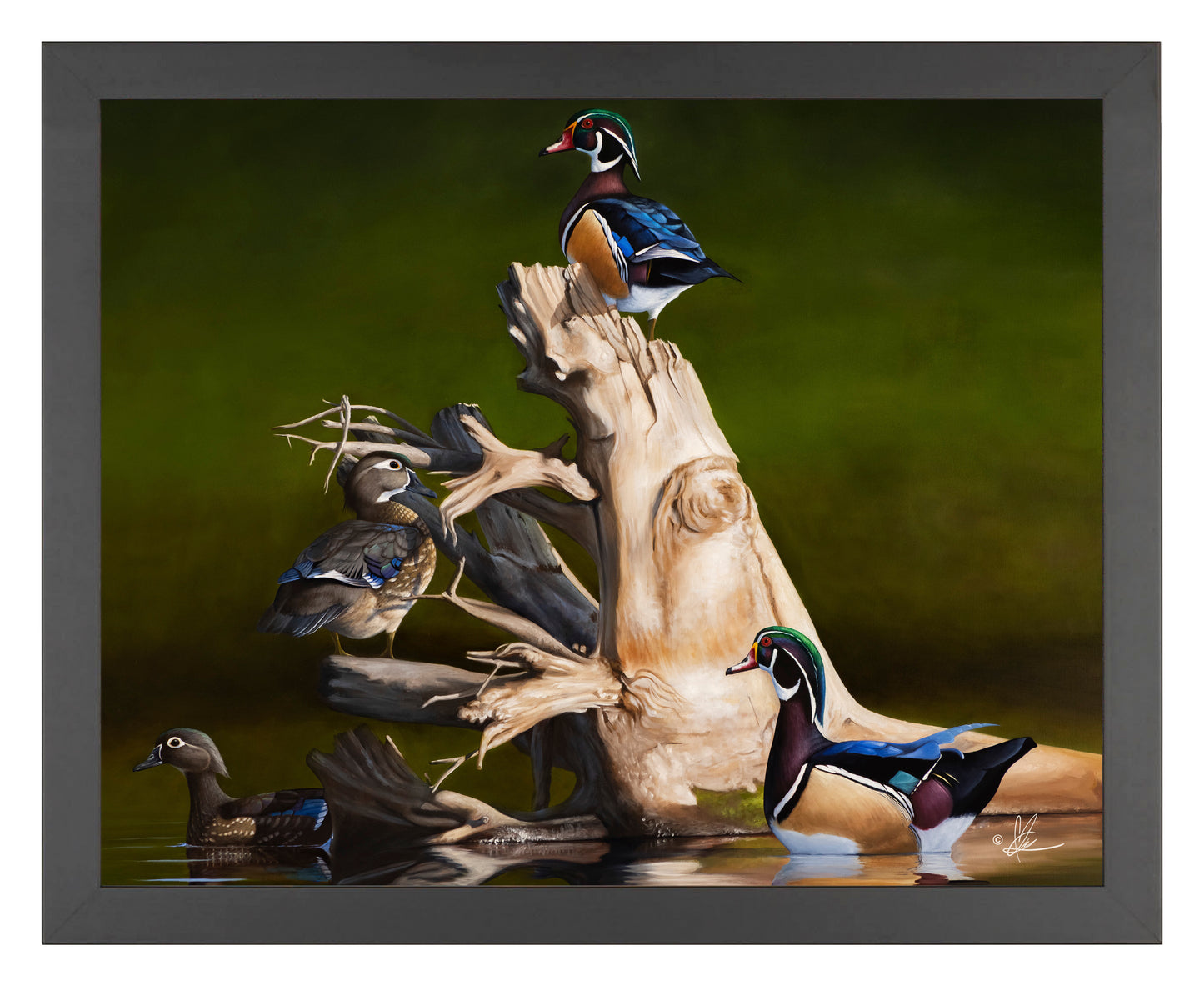 Framed Little birds