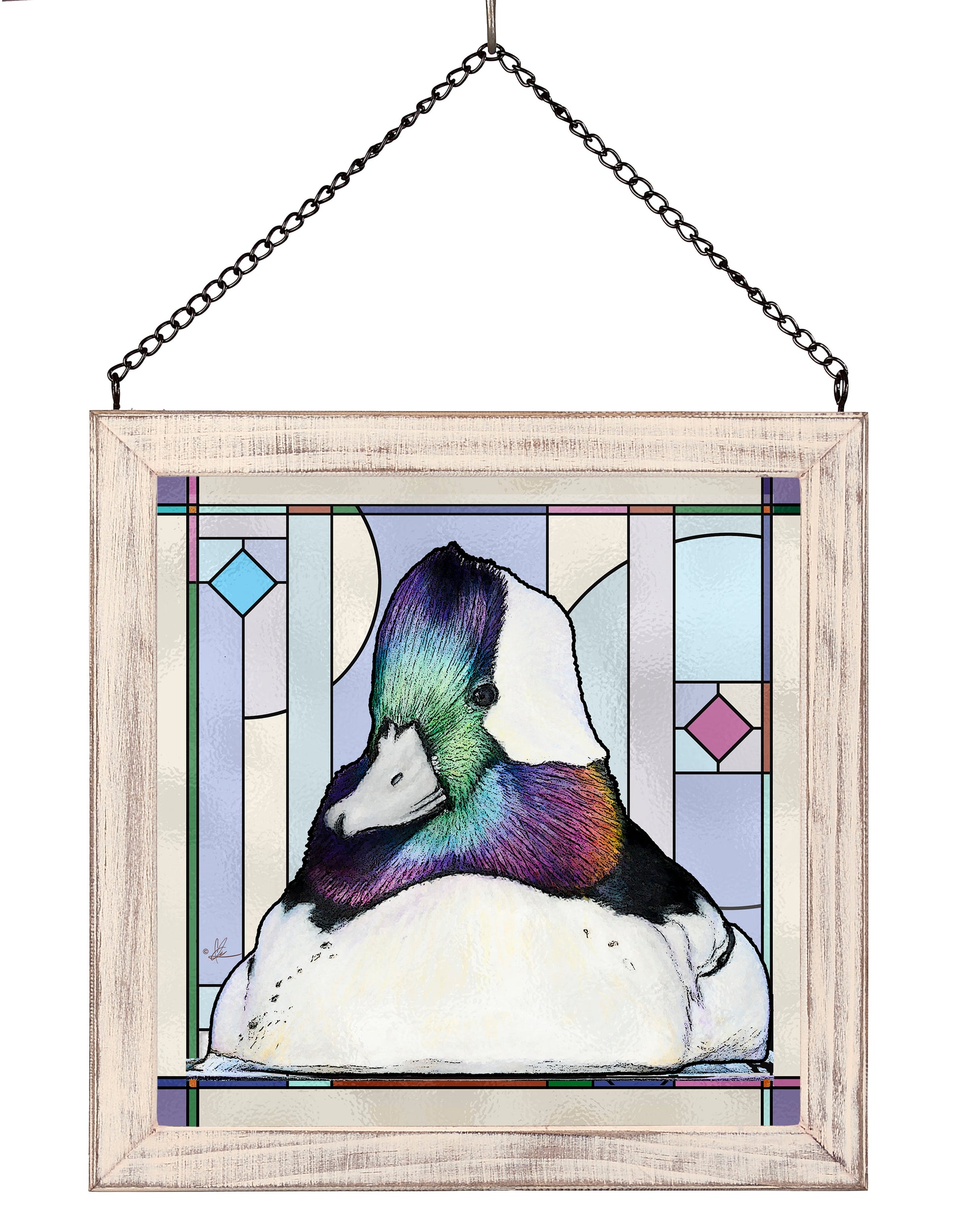 Framed image of a bufflehead