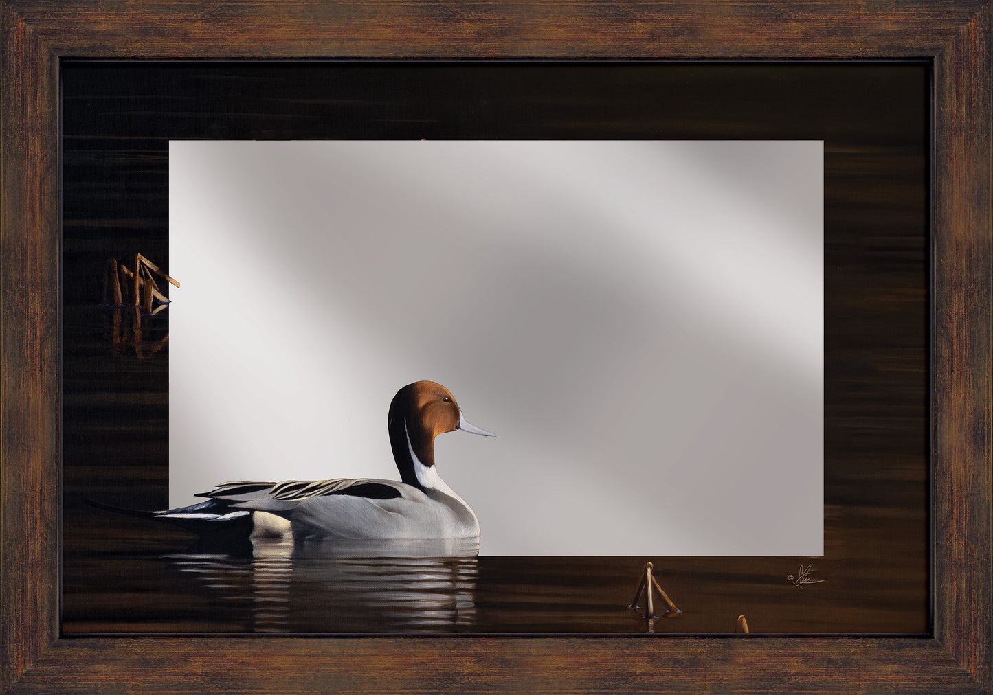 Framed mirror of a swimming duck