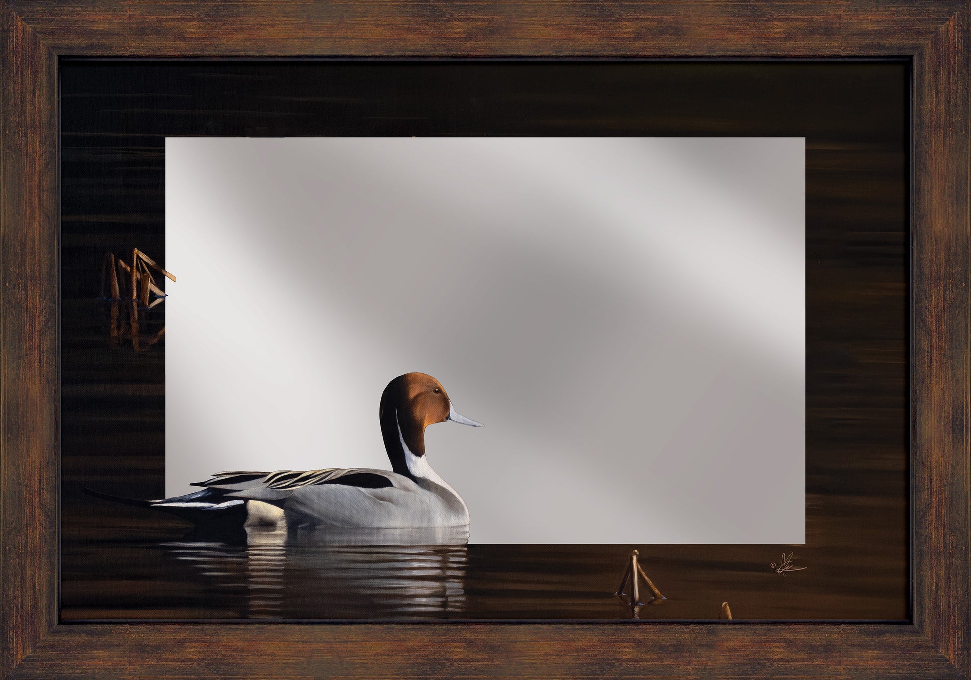 Framed mirror of a swimming duck