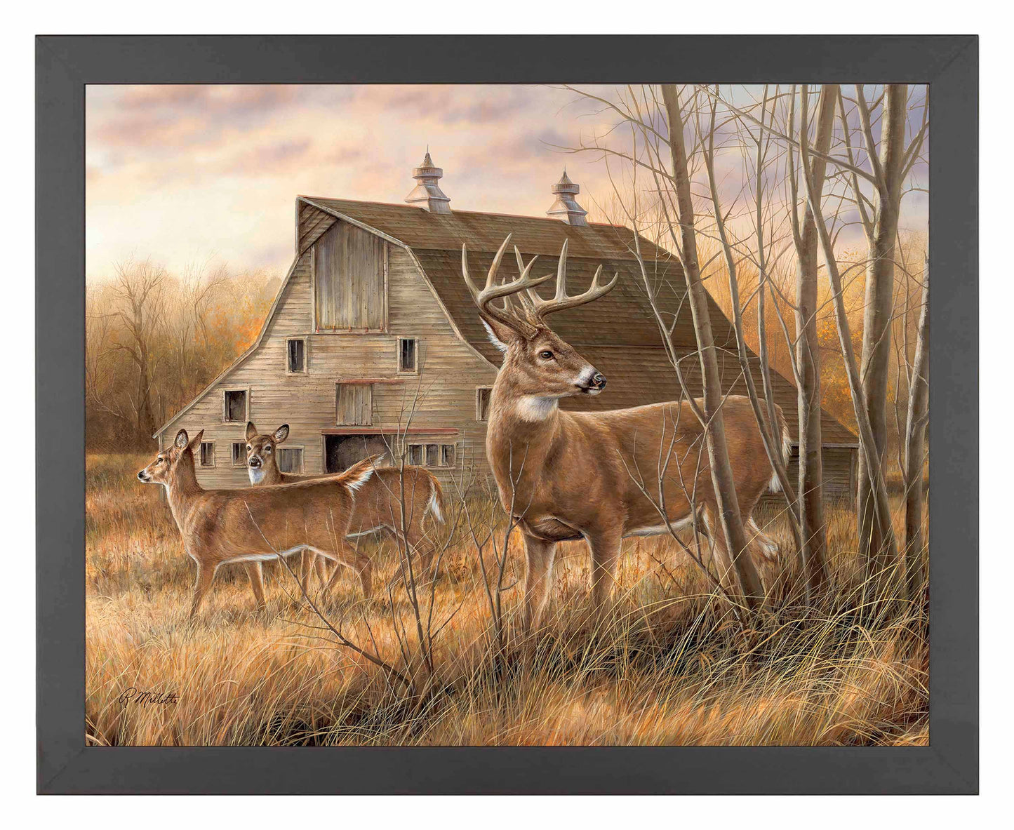 Deserted Farmstead - Art Prints