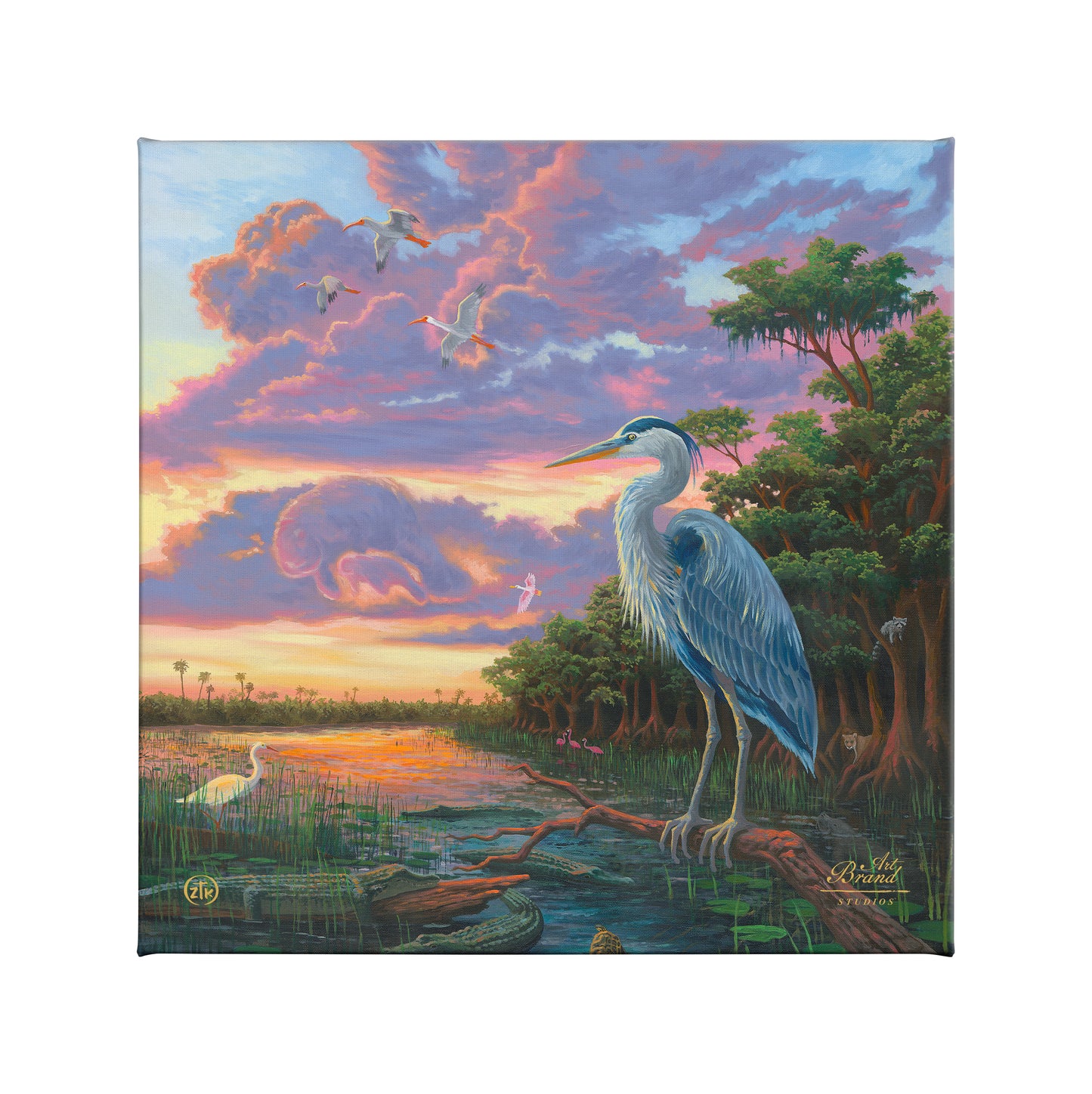 Spirit of Everglades - 14" x 14" Gallery Wrapped Canvas