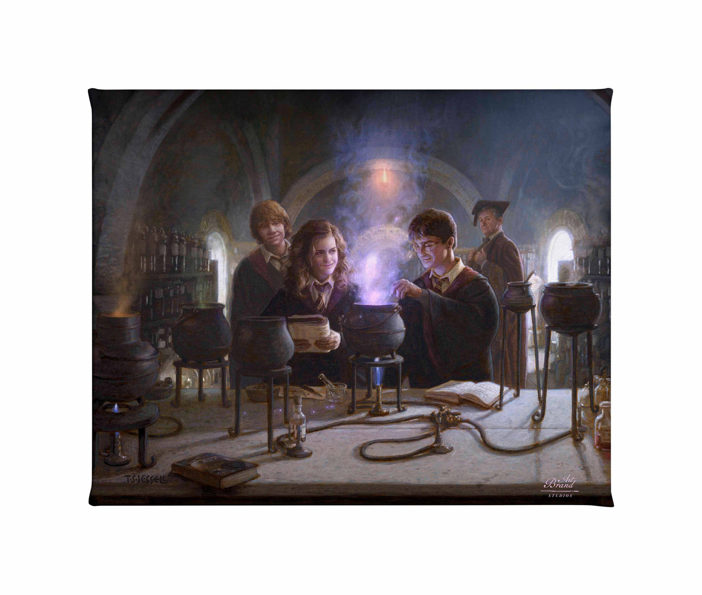 Harry Potter™ Potions Class - 8" x 10" Gallery Wrapped Canvas