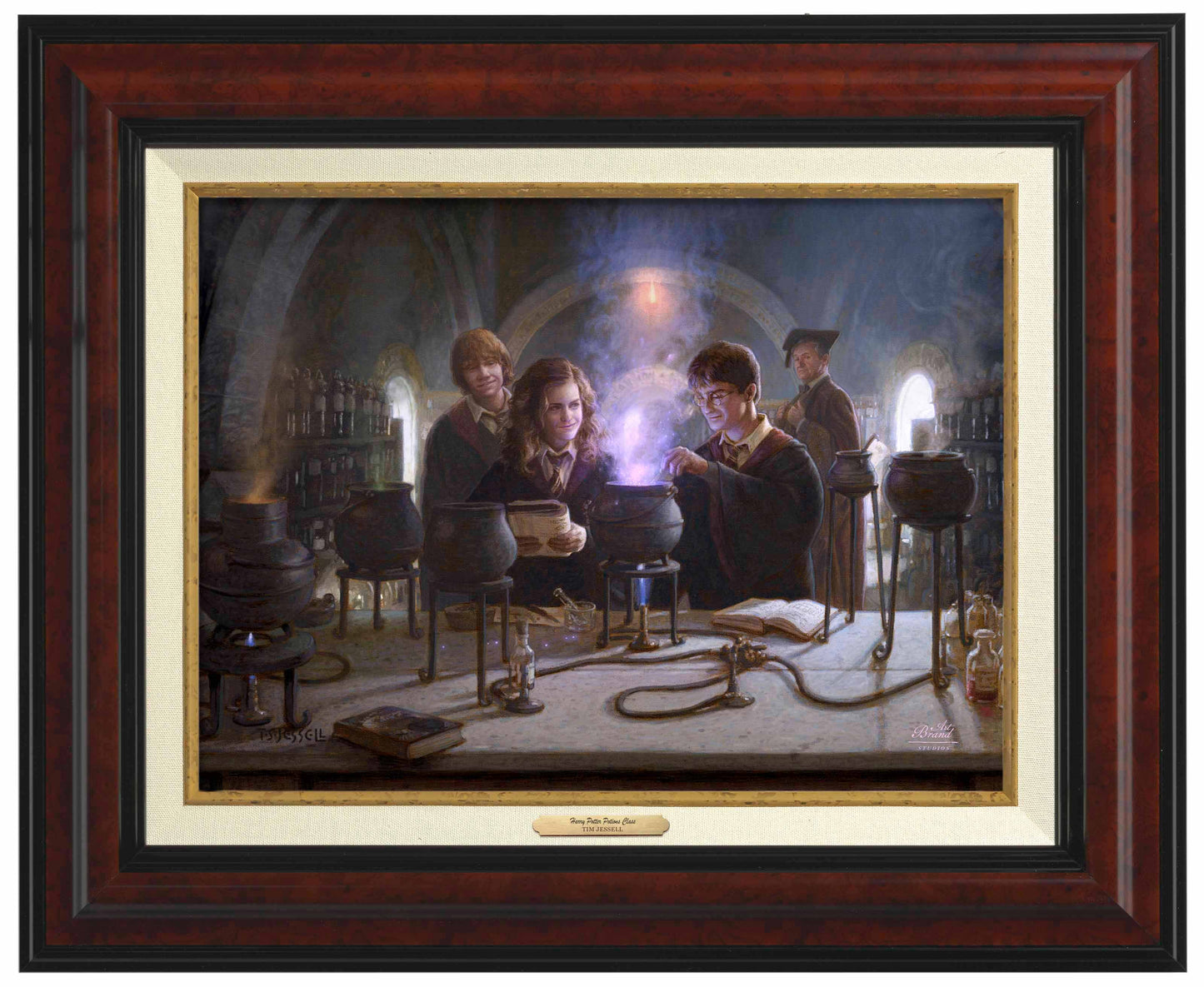 Harry Potter™ Potions Class - Canvas Classics