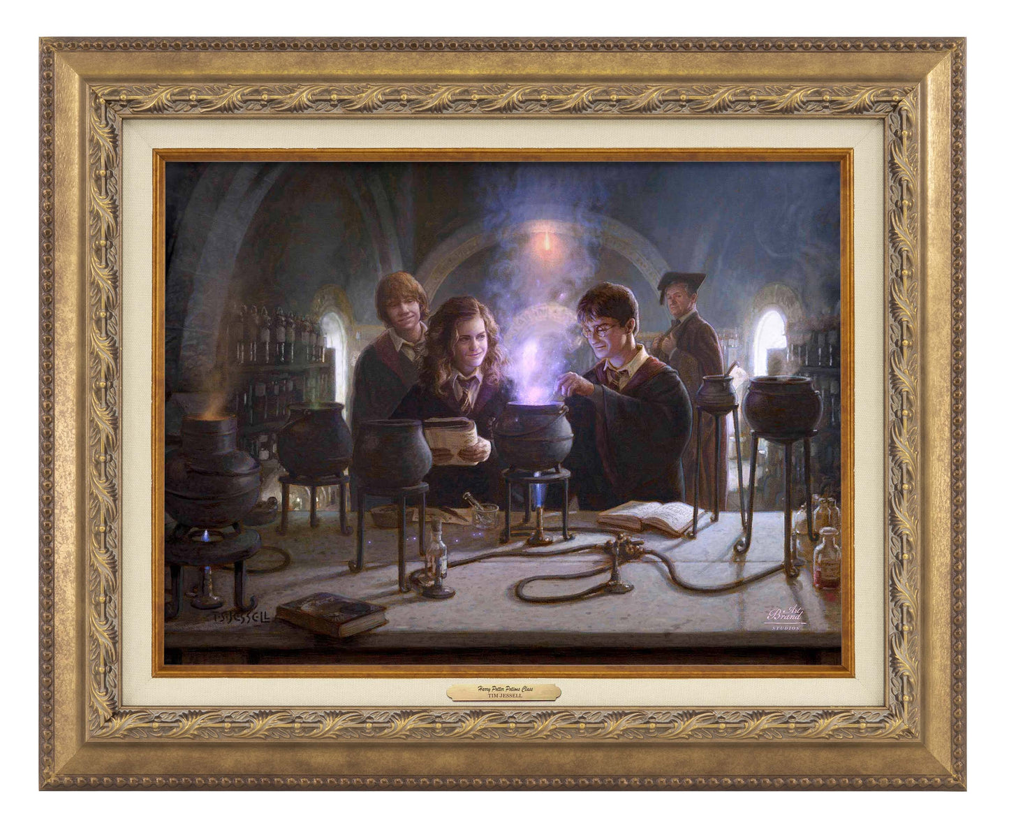 Harry Potter™ Potions Class - Canvas Classics