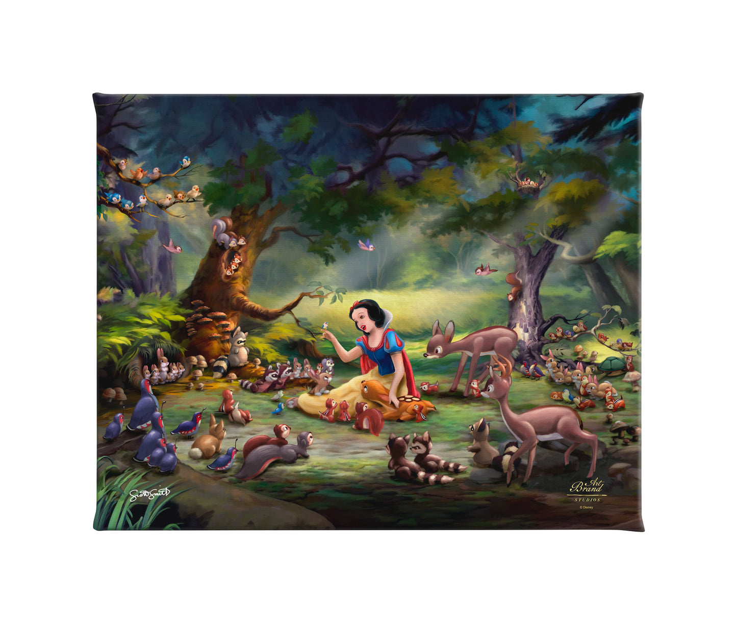 Disney's Snow White - Forest Secrets - 8" x 10" Gallery Wrapped Canvas