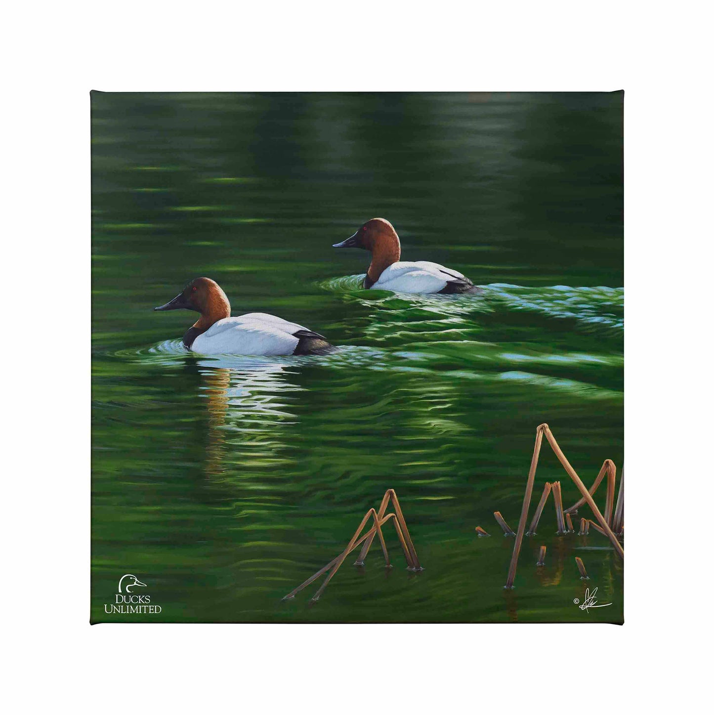 A Beautiful Day Gallery Wrapped Canvas - Official Ducks Unlimited Art
