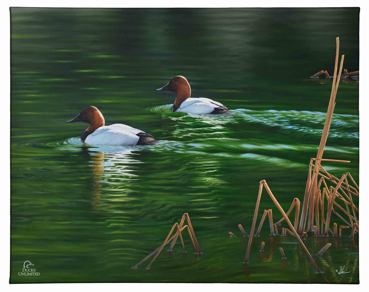 A Beautiful Day Gallery Wrapped Canvas - Official Ducks Unlimited Art