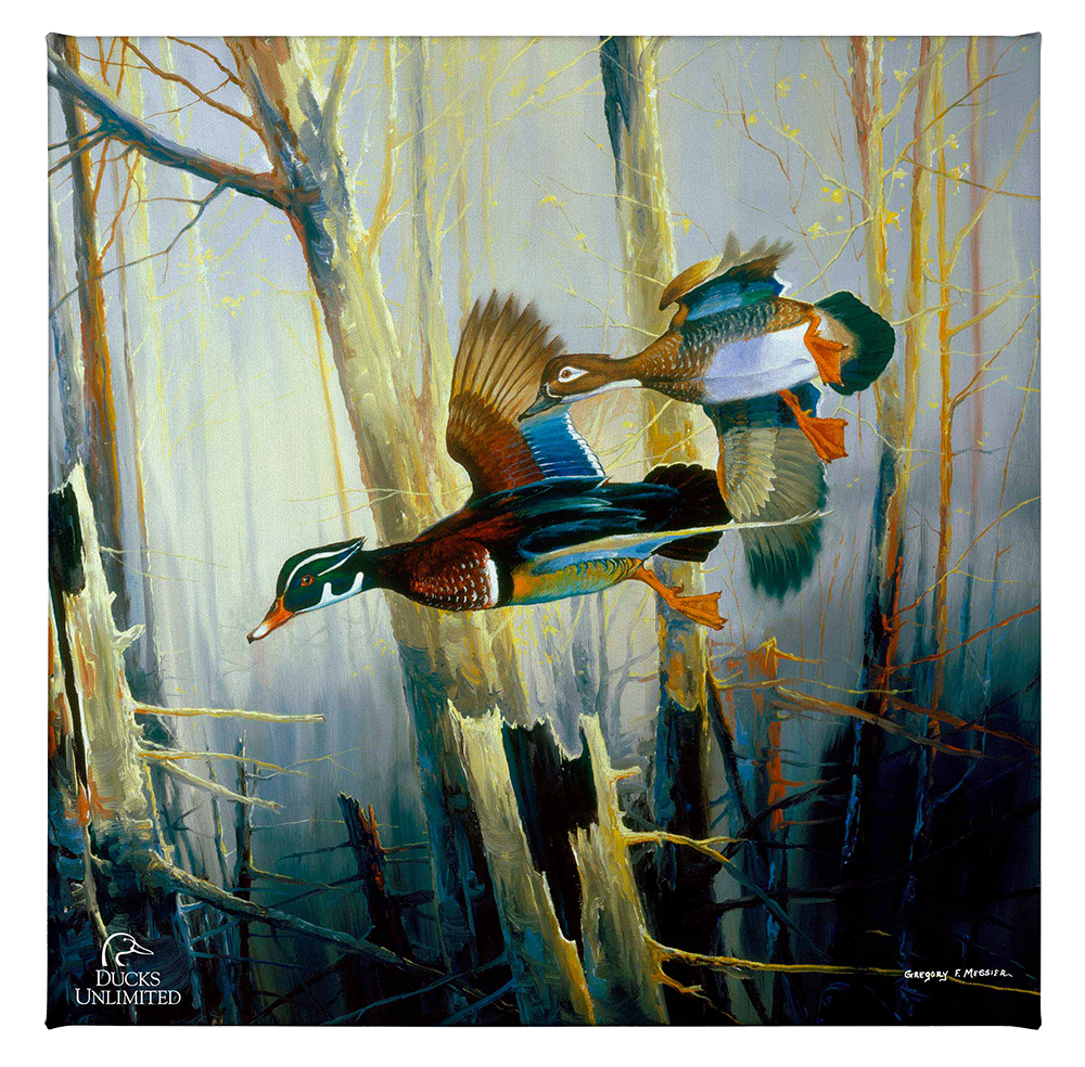 Aerobatics Gallery Wrapped Canvas - Official Ducks Unlimited Art
