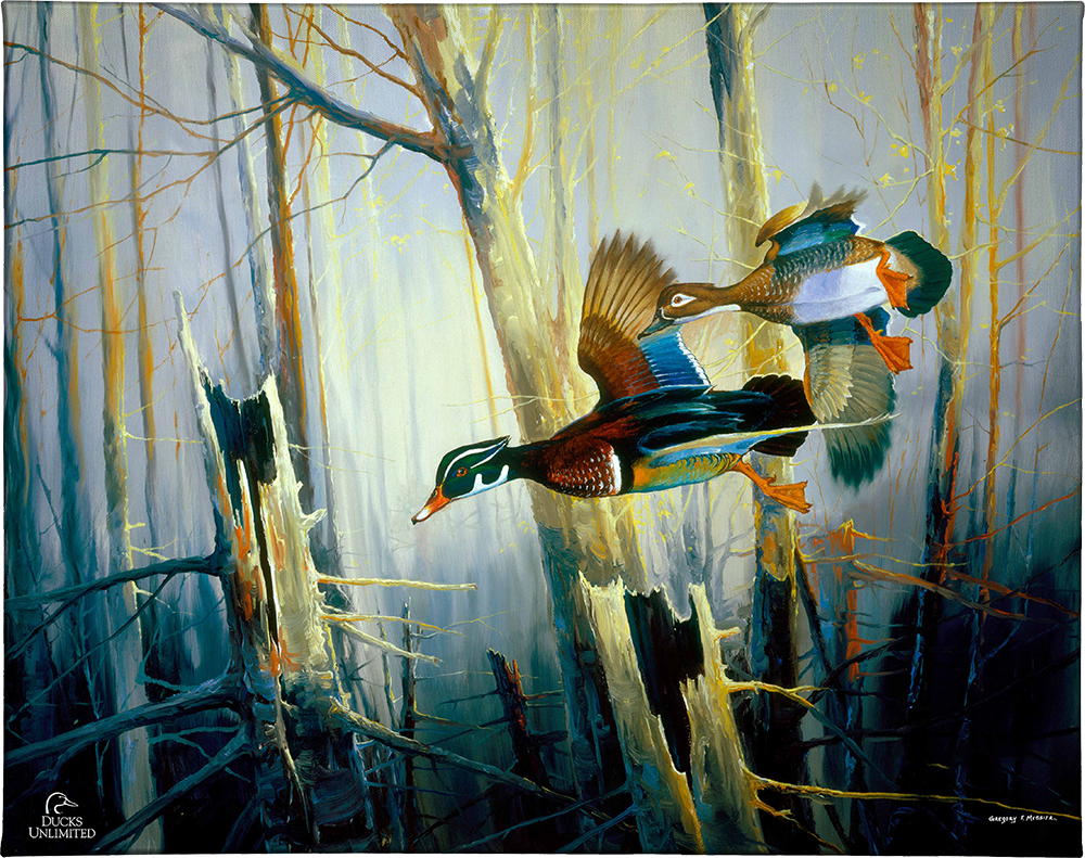 Aerobatics Gallery Wrapped Canvas - Official Ducks Unlimited Art