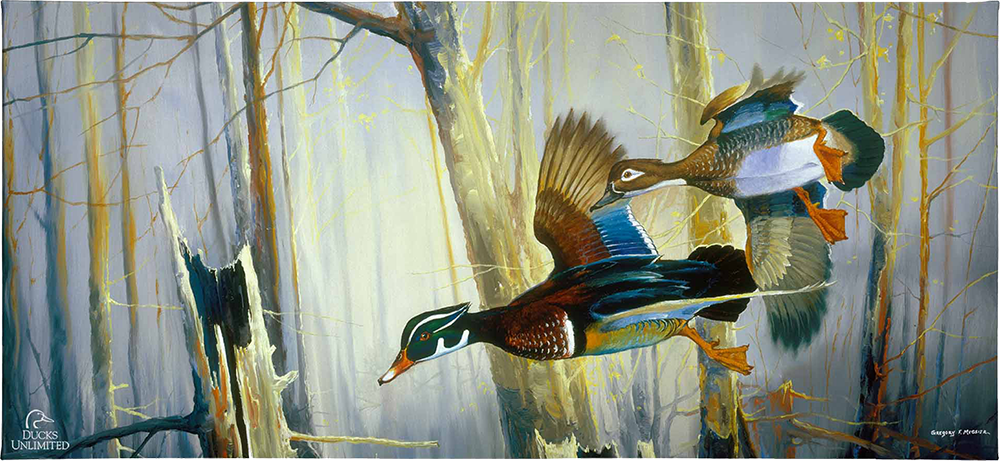 Aerobatics Gallery Wrapped Canvas - Official Ducks Unlimited Art