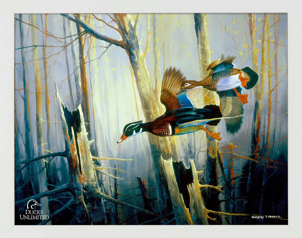 Aerobatics Art Prints - Official Ducks Unlimited Art