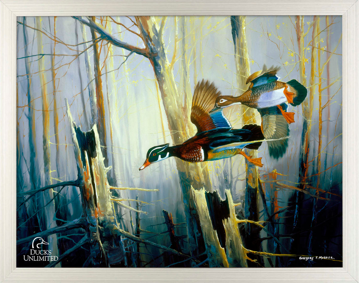 Aerobatics Art Prints - Official Ducks Unlimited Art