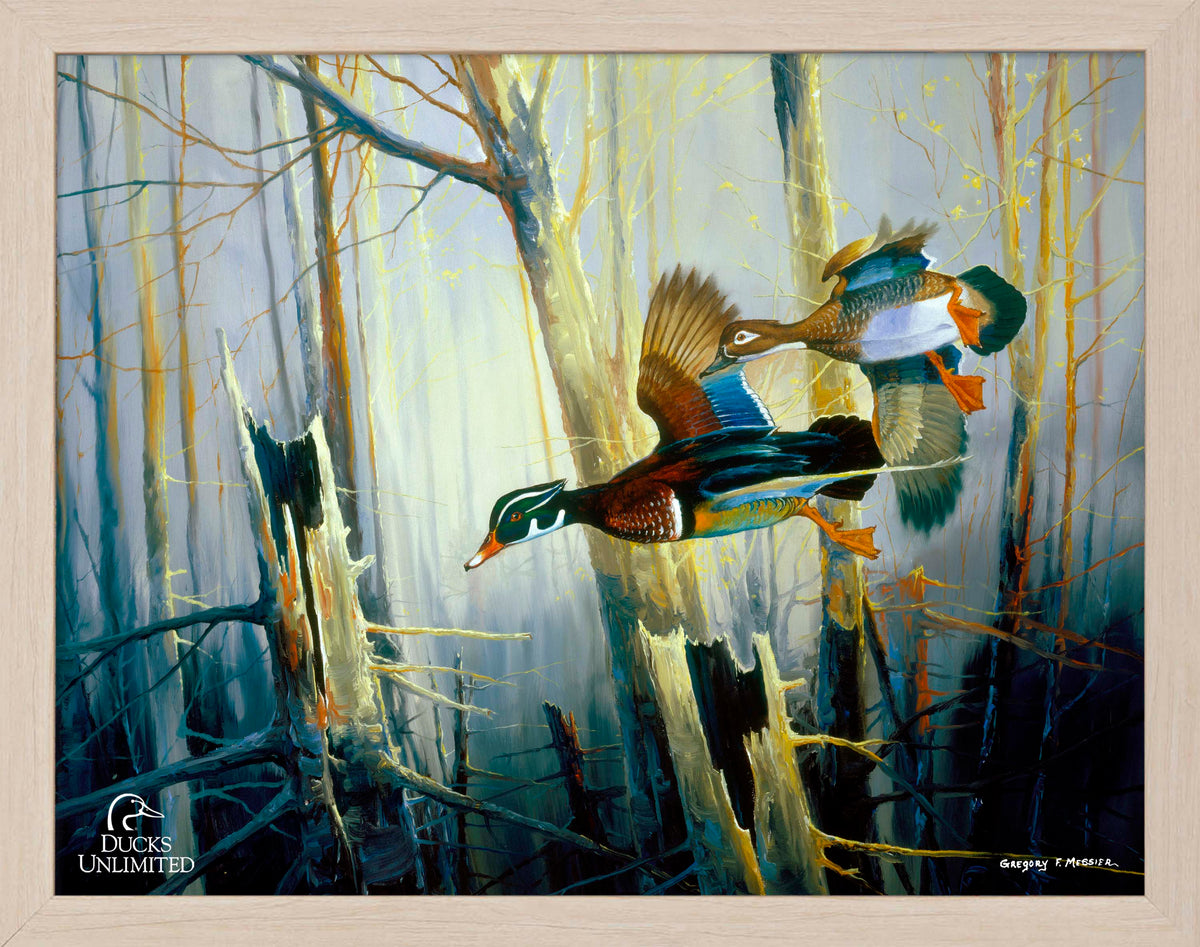 Aerobatics Art Prints - Official Ducks Unlimited Art