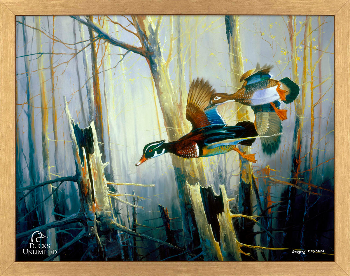 Aerobatics Art Prints - Official Ducks Unlimited Art