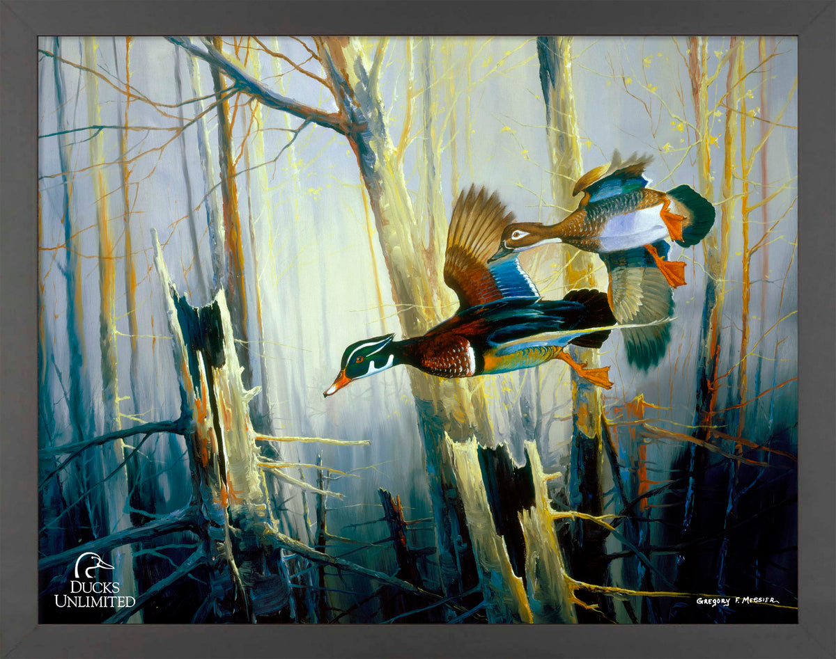 Aerobatics Art Prints - Official Ducks Unlimited Art